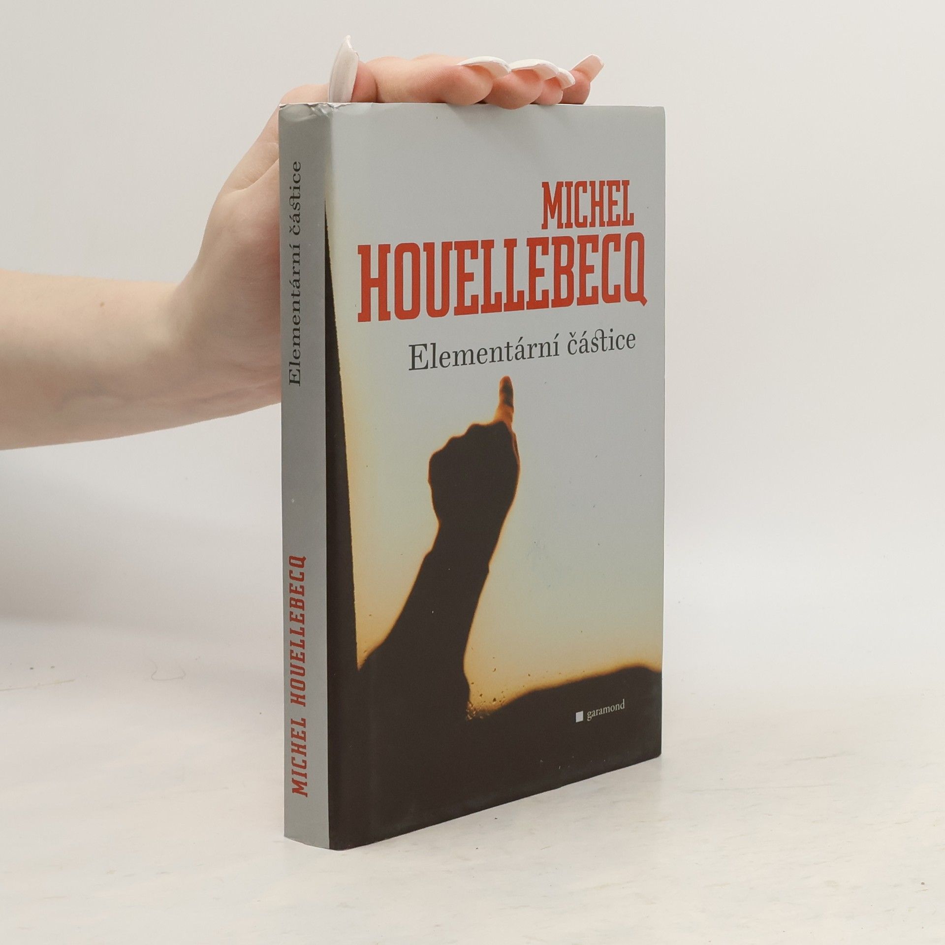 Elementární částice