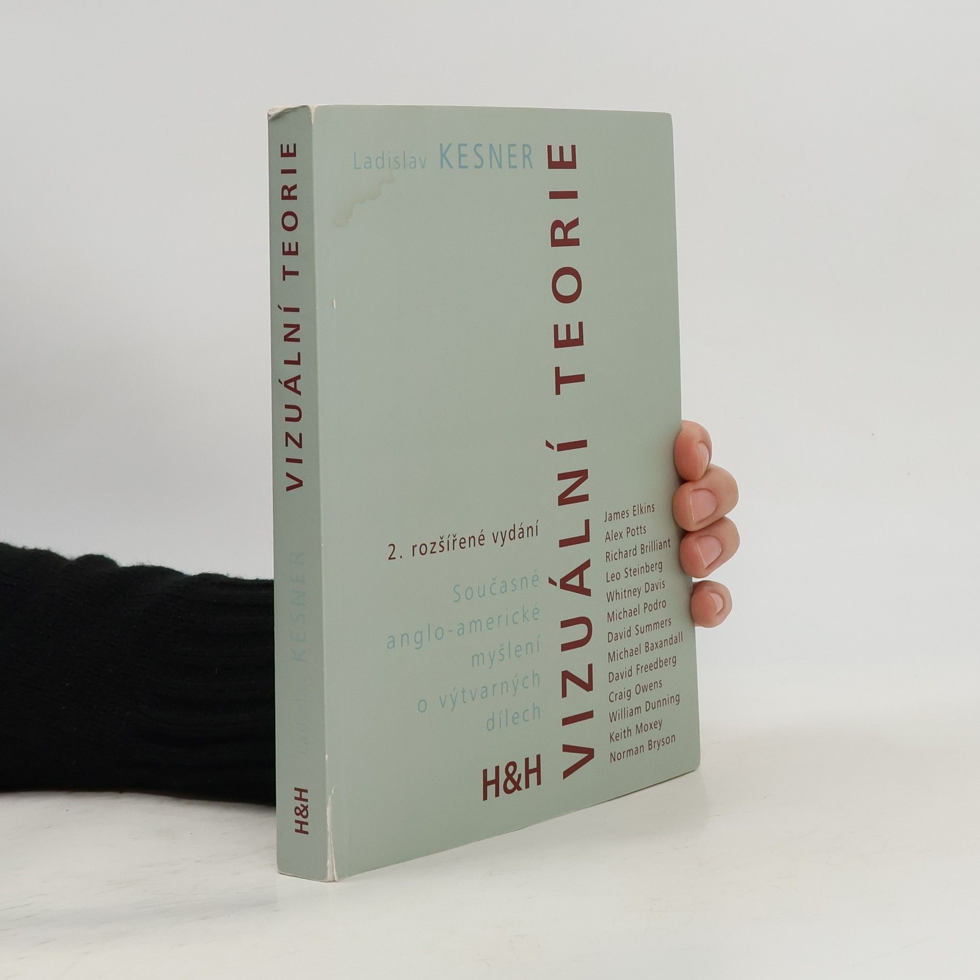 Ladislav Kesner jr. Vizuální teorie - současné anglo-americké myšlení o výtvarných dílech