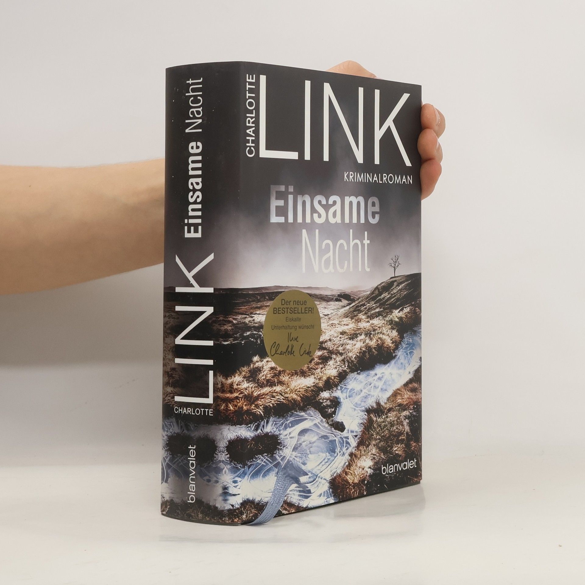 Charlotte Link Einsame Nacht