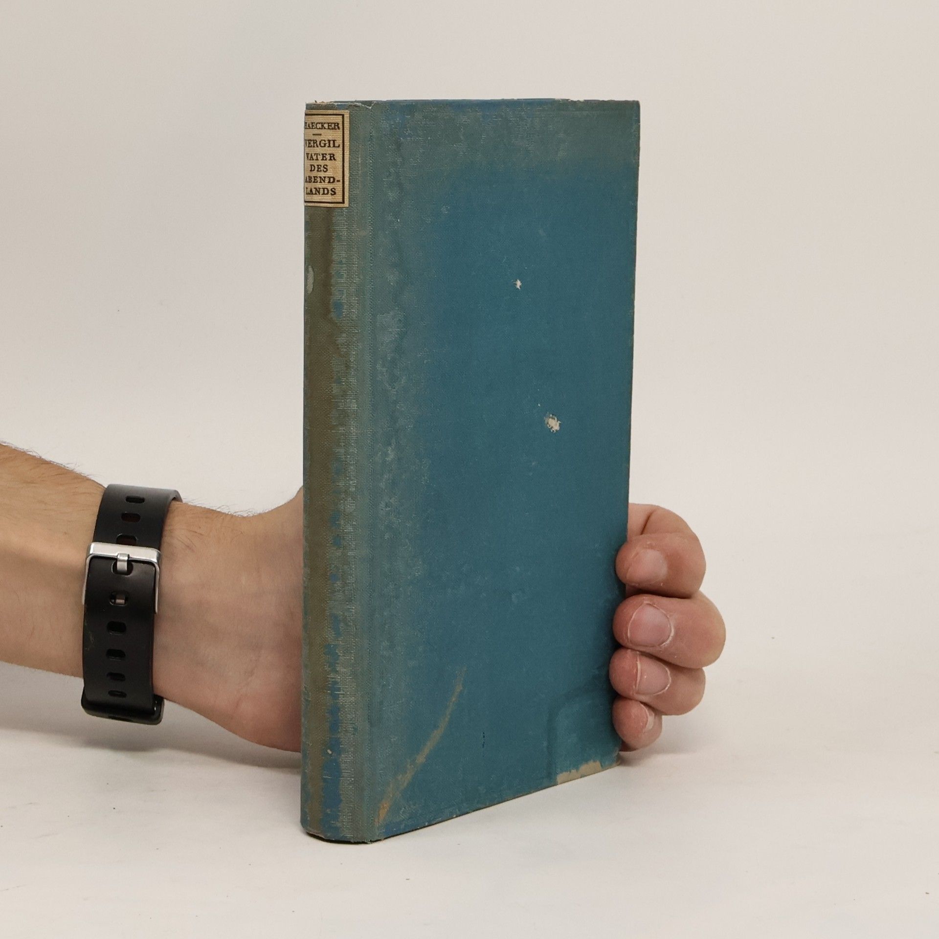 Theodor Haecker Vergil, Vater des Abendlandes