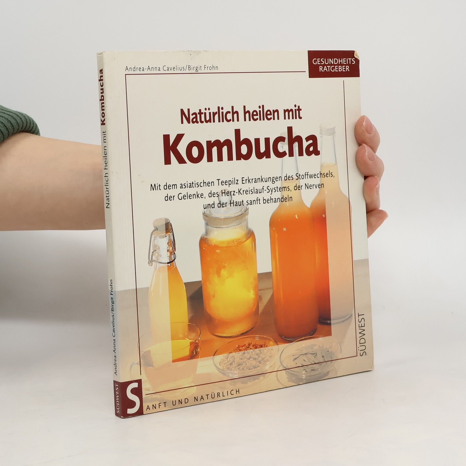 Brigit Frohn Natürlich heilen mit Kombucha.