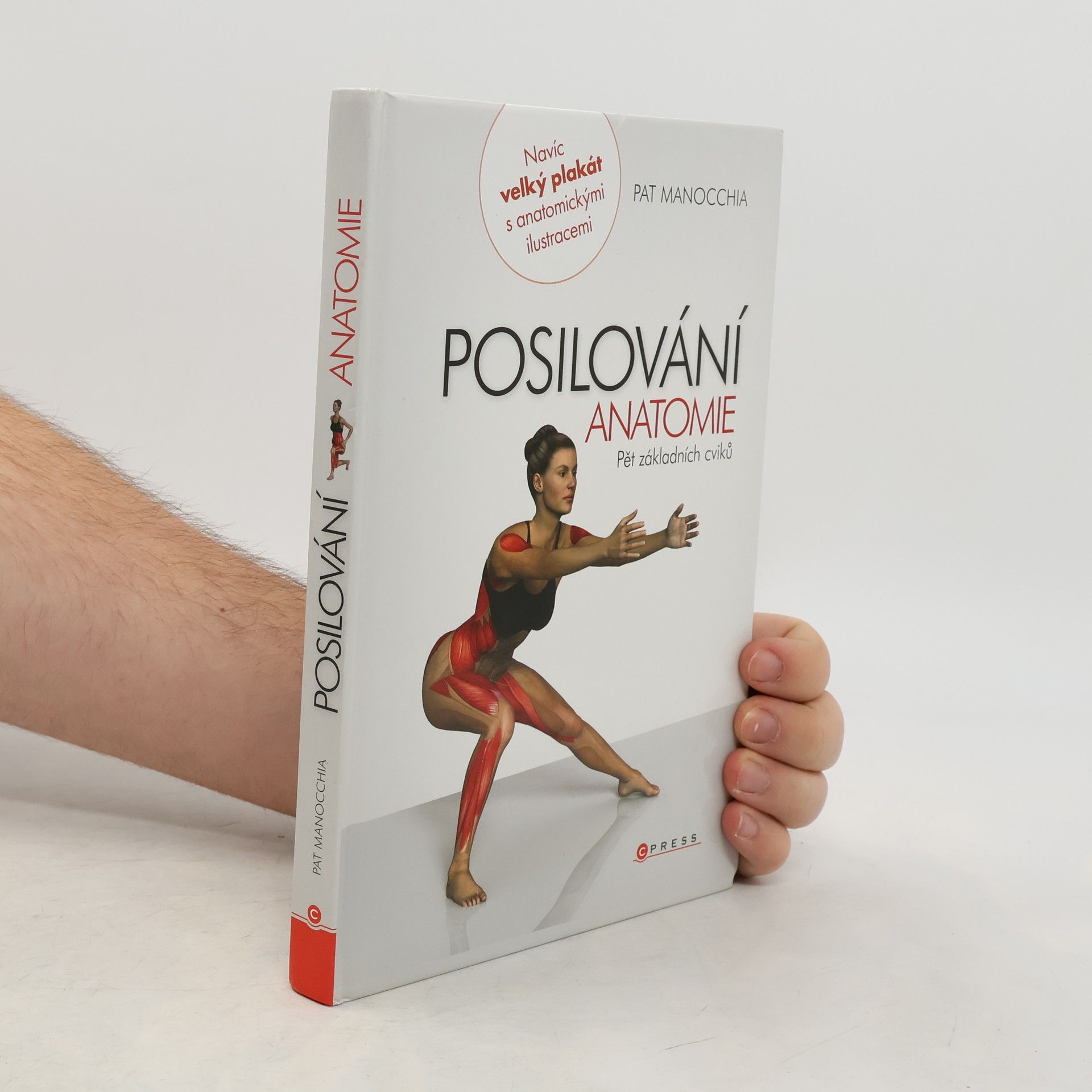 Pat Manocchia Posilování - anatomie. Pět základních cviků