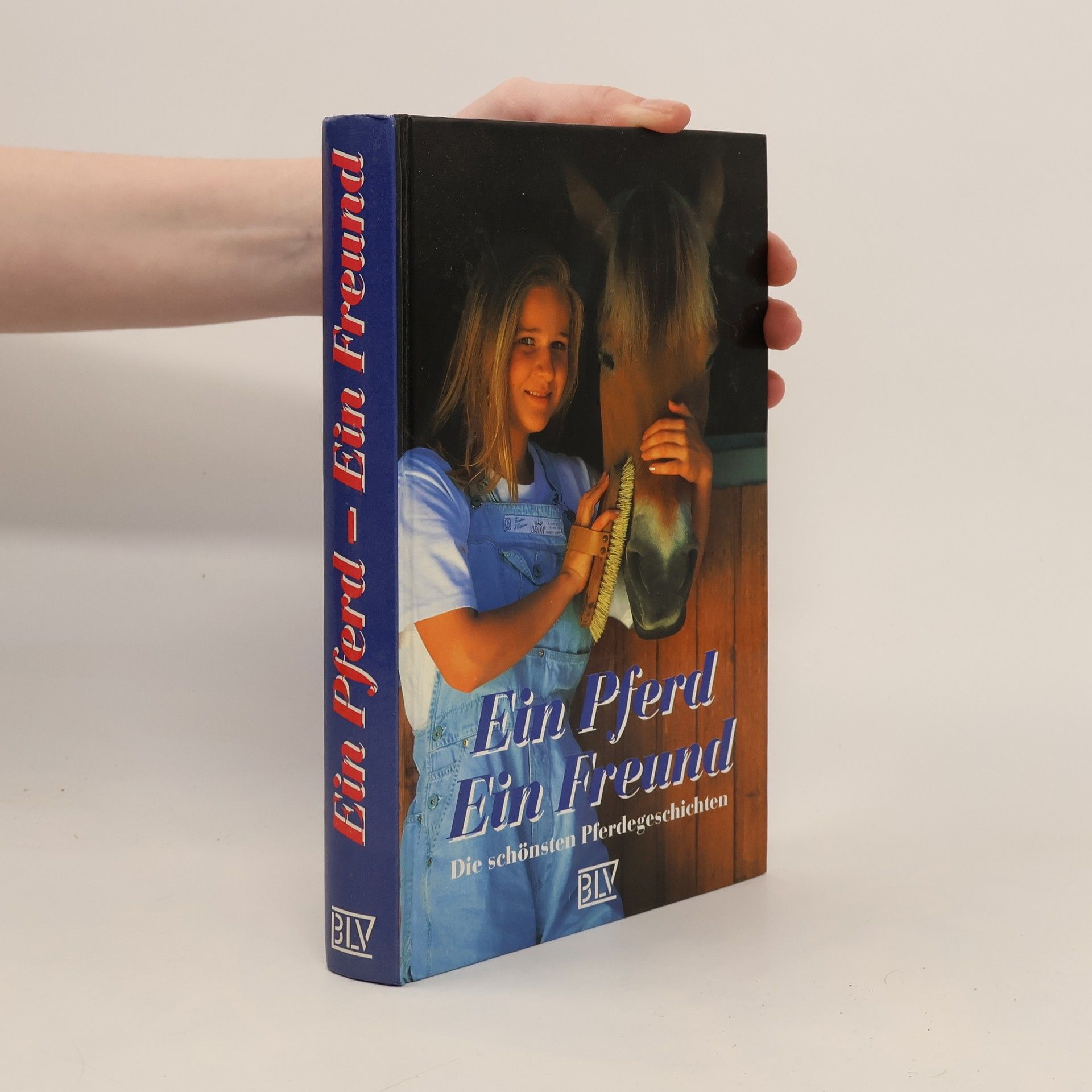 Ute Seesslen Ein Pferd, ein Freund