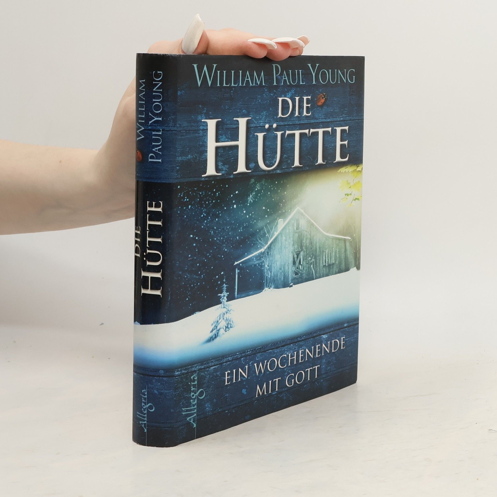 William P. Young Die Hütte