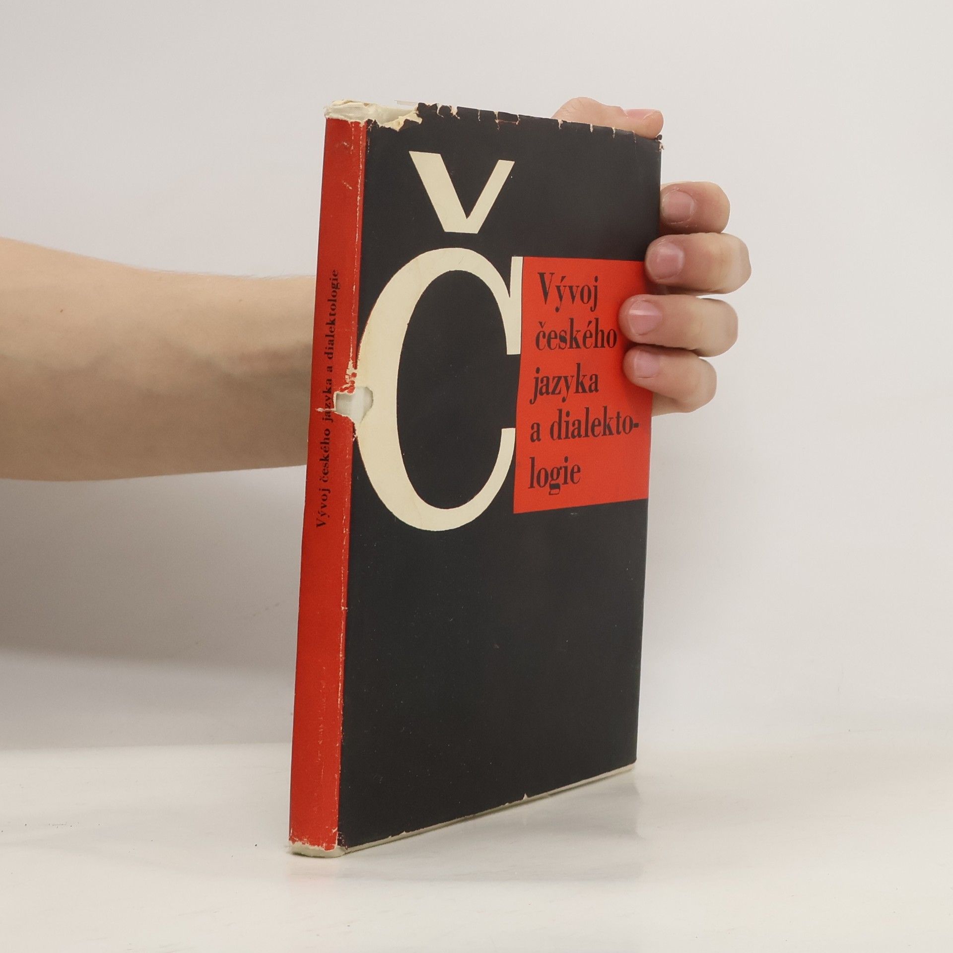 Autorenkollektiv Vývoj českého jazyka a dialektologie