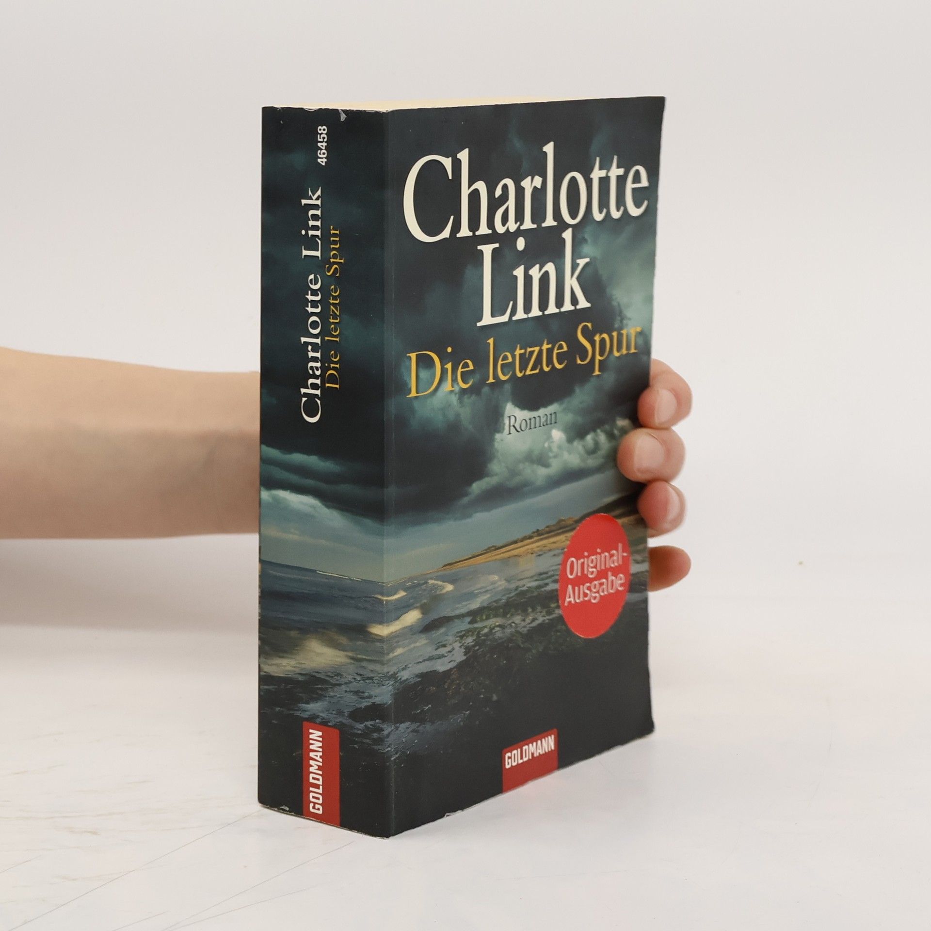 Charlotte Link Die letzte Spur