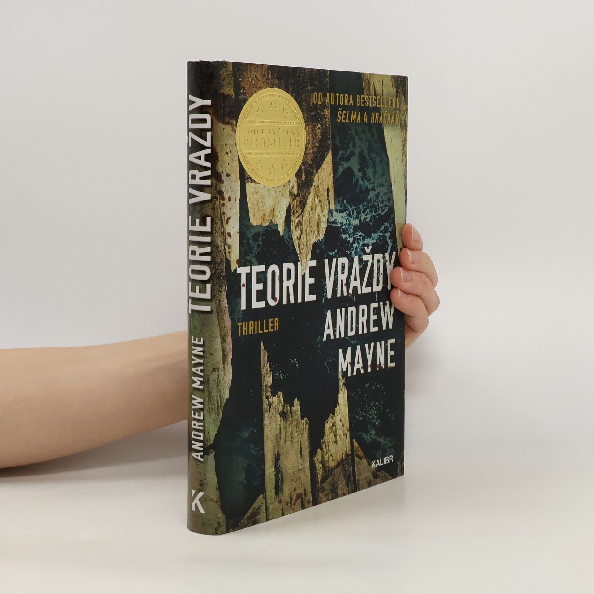 Andrew Mayne Teorie vraždy