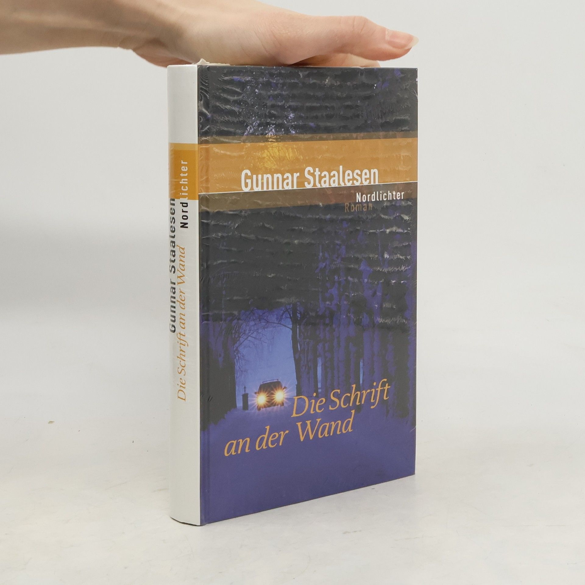 Gunnar Staalesen Die Schrift an der Wand