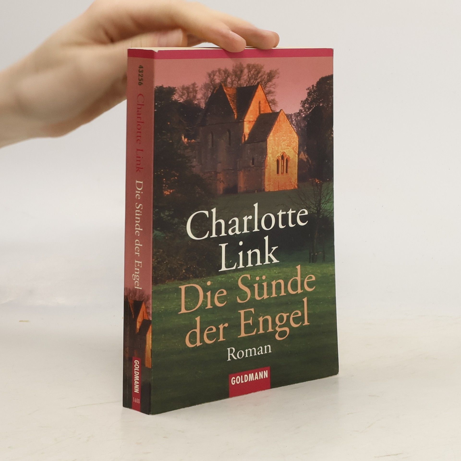 Charlotte Link Die Sünde der Engel