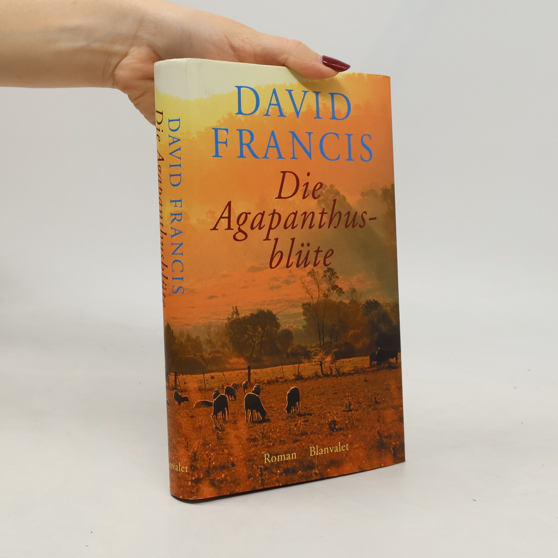 David Francis Die Agapanthusblüte