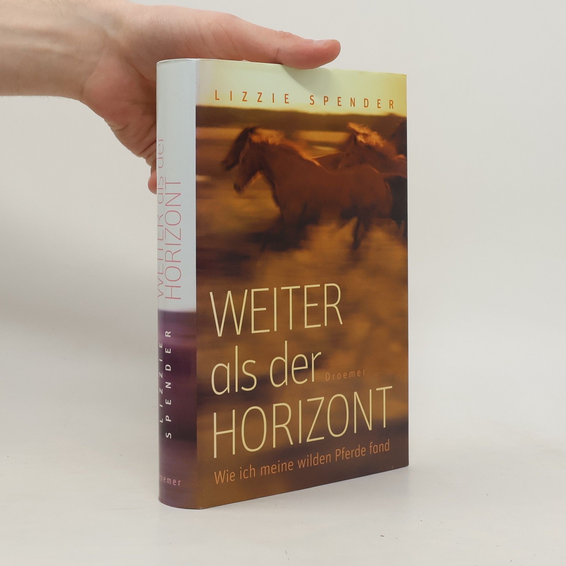 Lizzie Spender Weiter als der Horizont