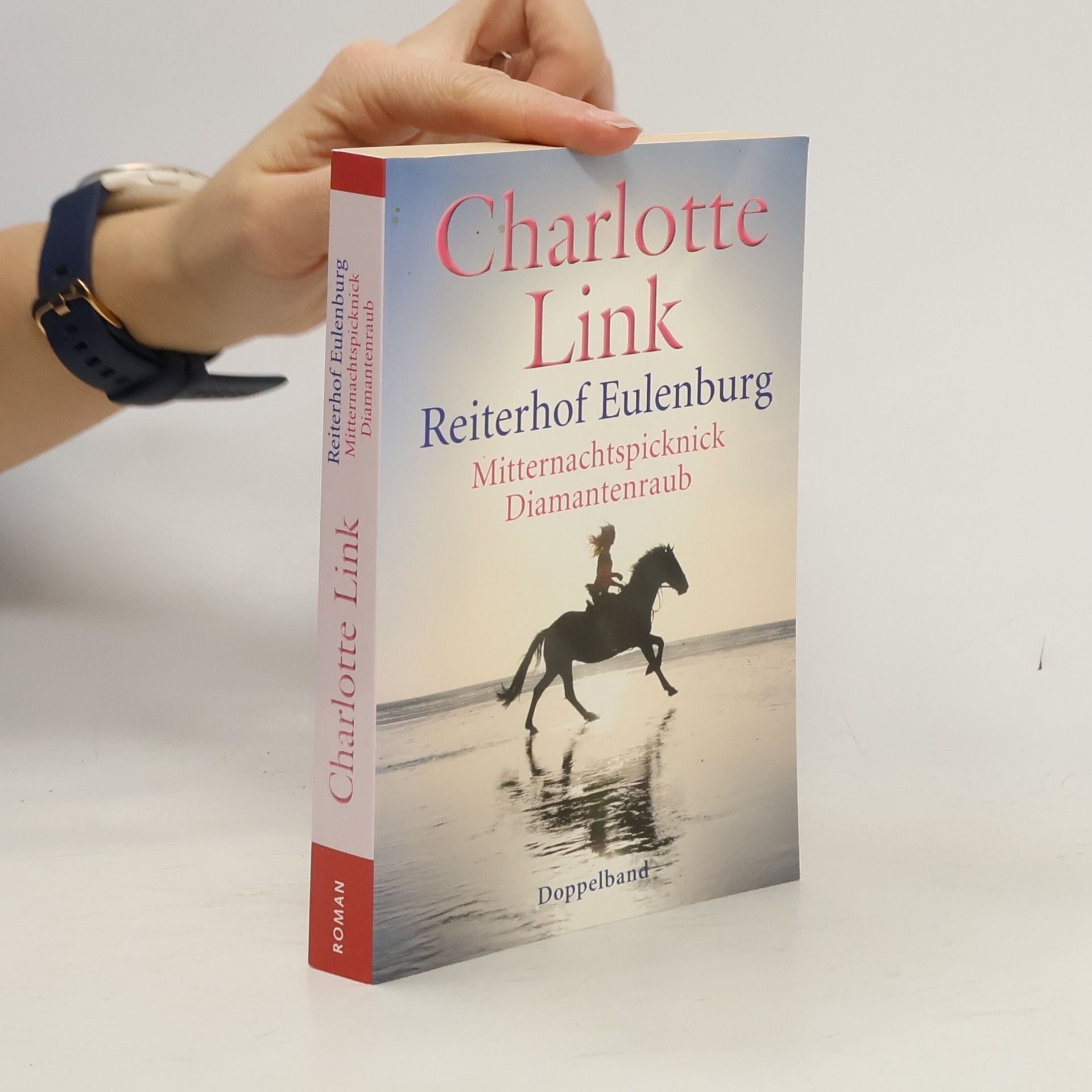 Charlotte Link Reiterhof Eulenburg - Doppelband: Mitternachtspicknick, Diamantenraub