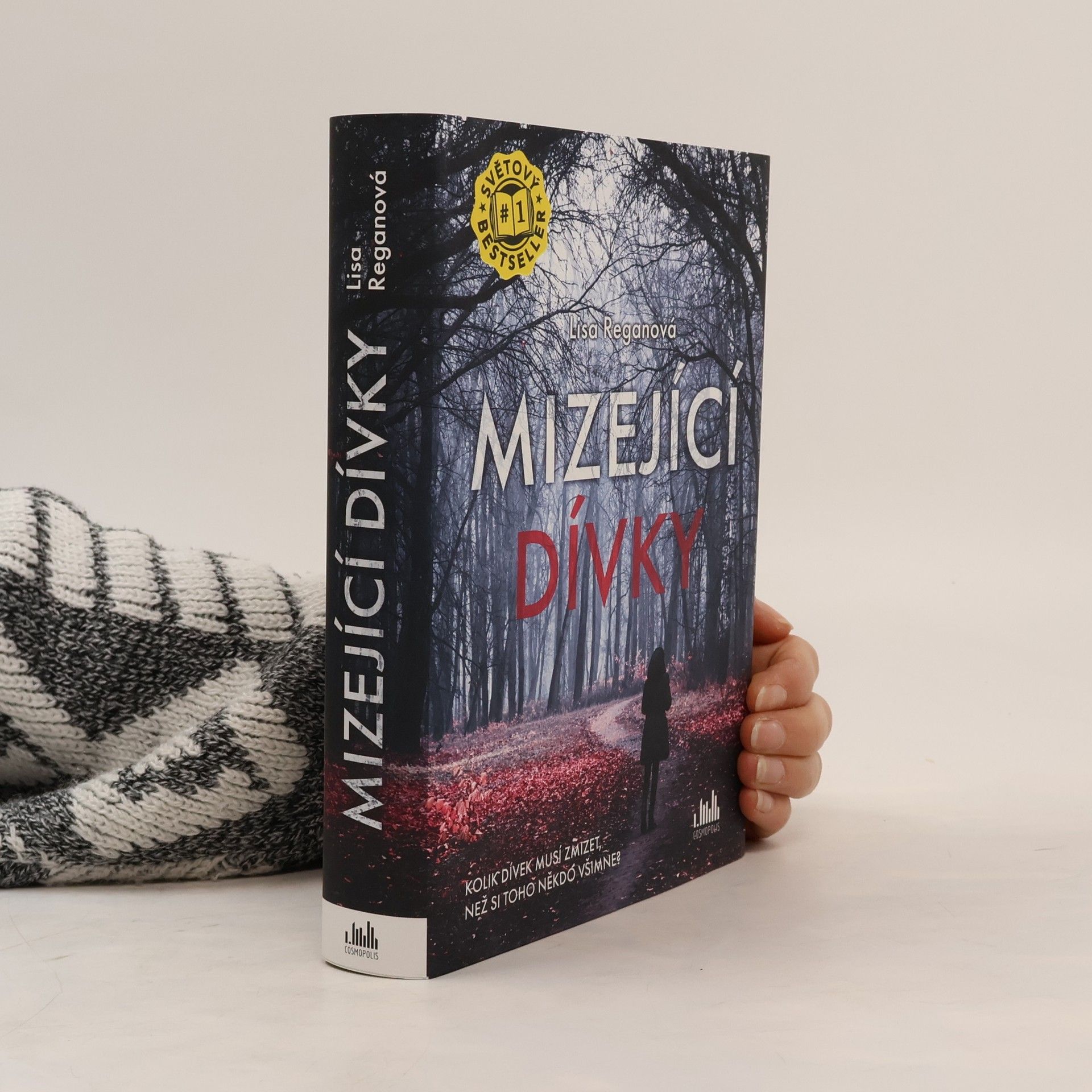 Lisa Regan Mizející dívky