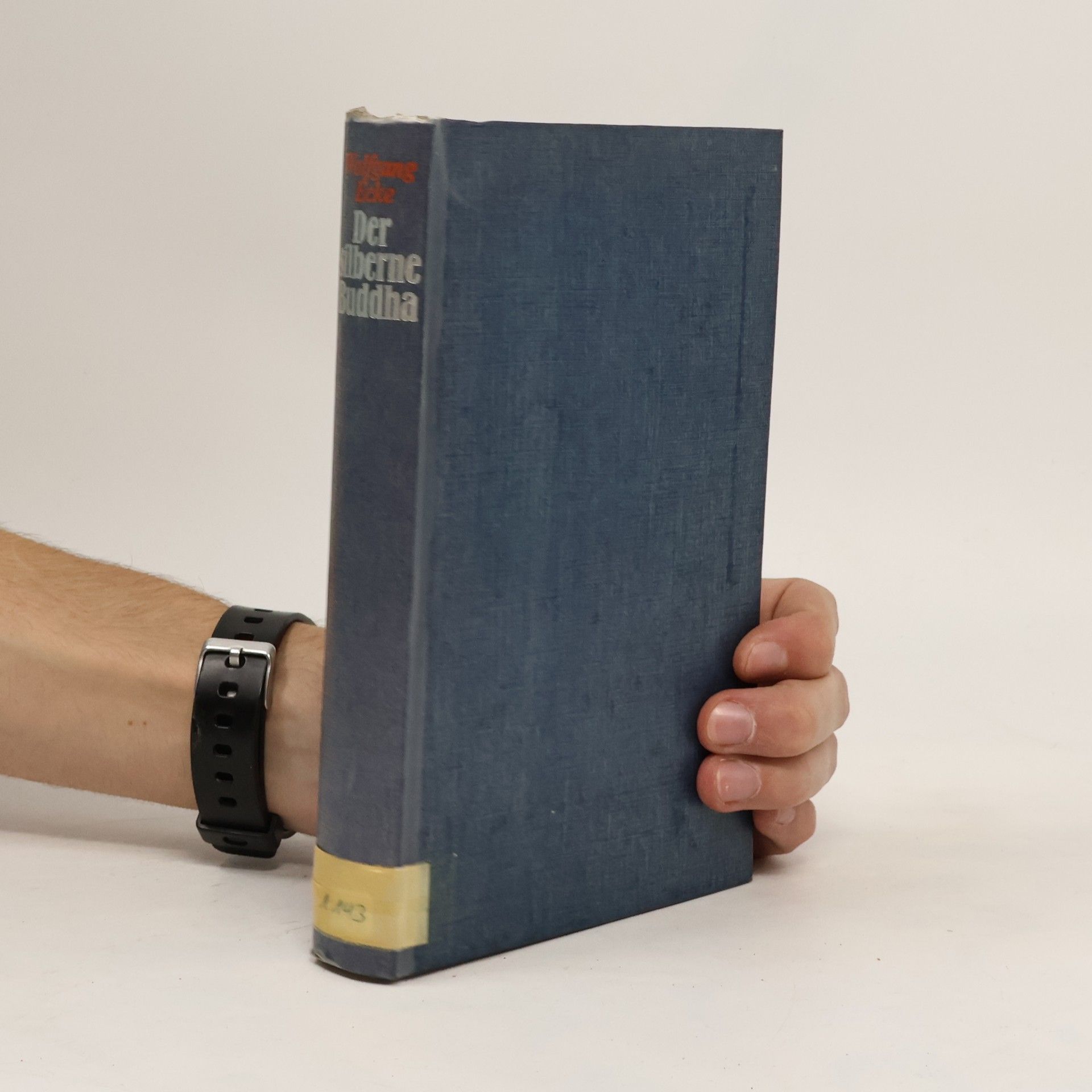 Wolfgang Ecke Der silberne Buddha