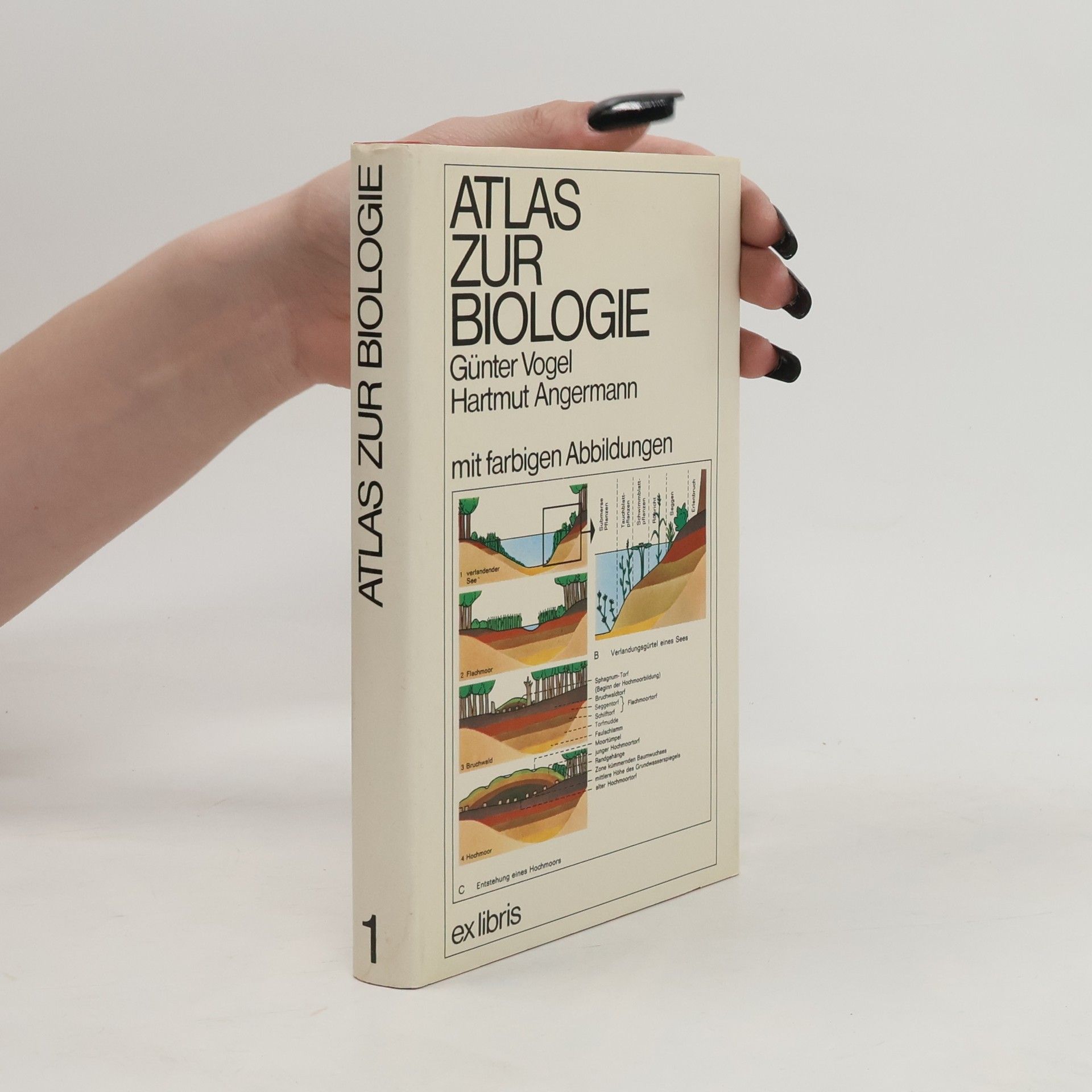 Atlas zur Biologie 1