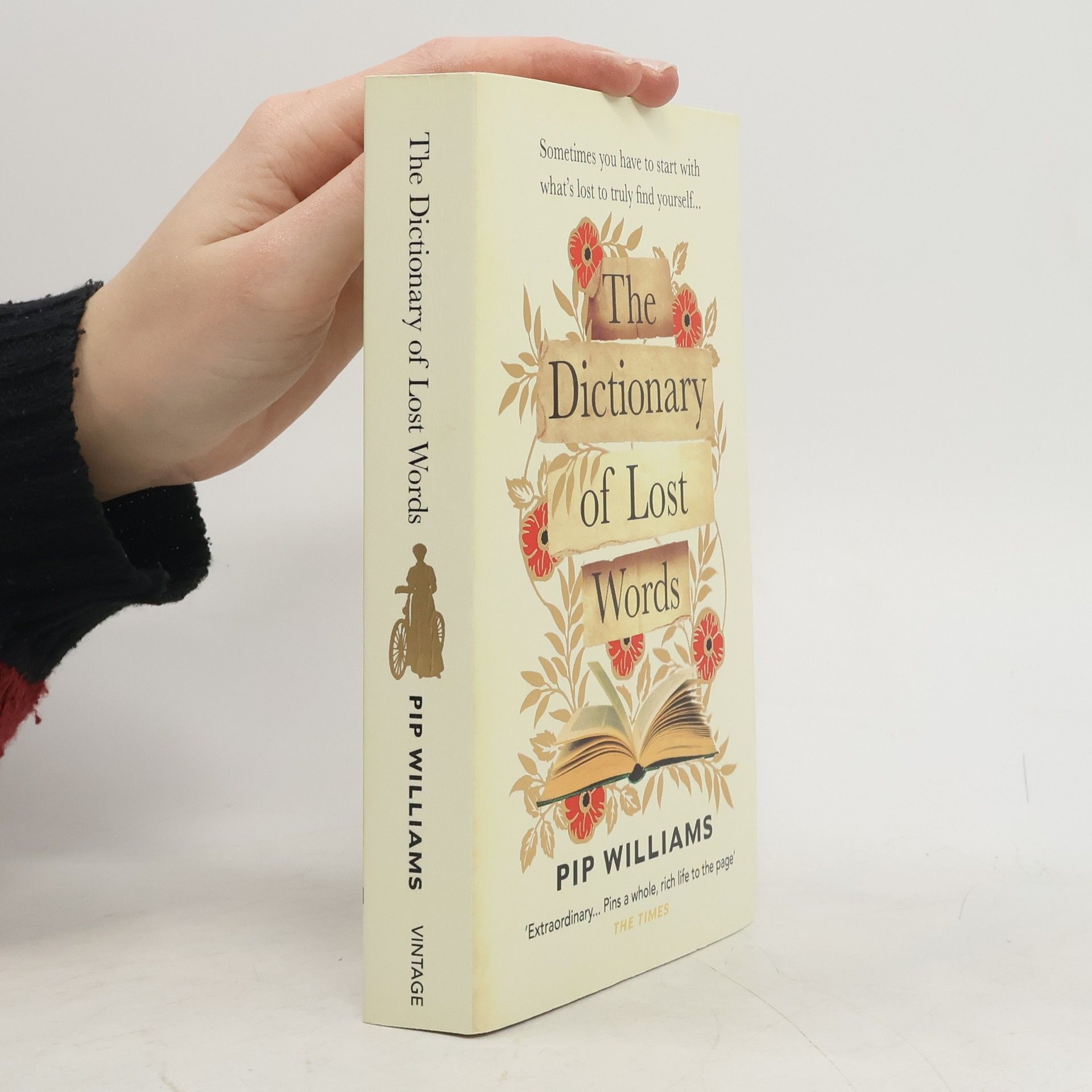 Pip Williams The dictionary of lost words