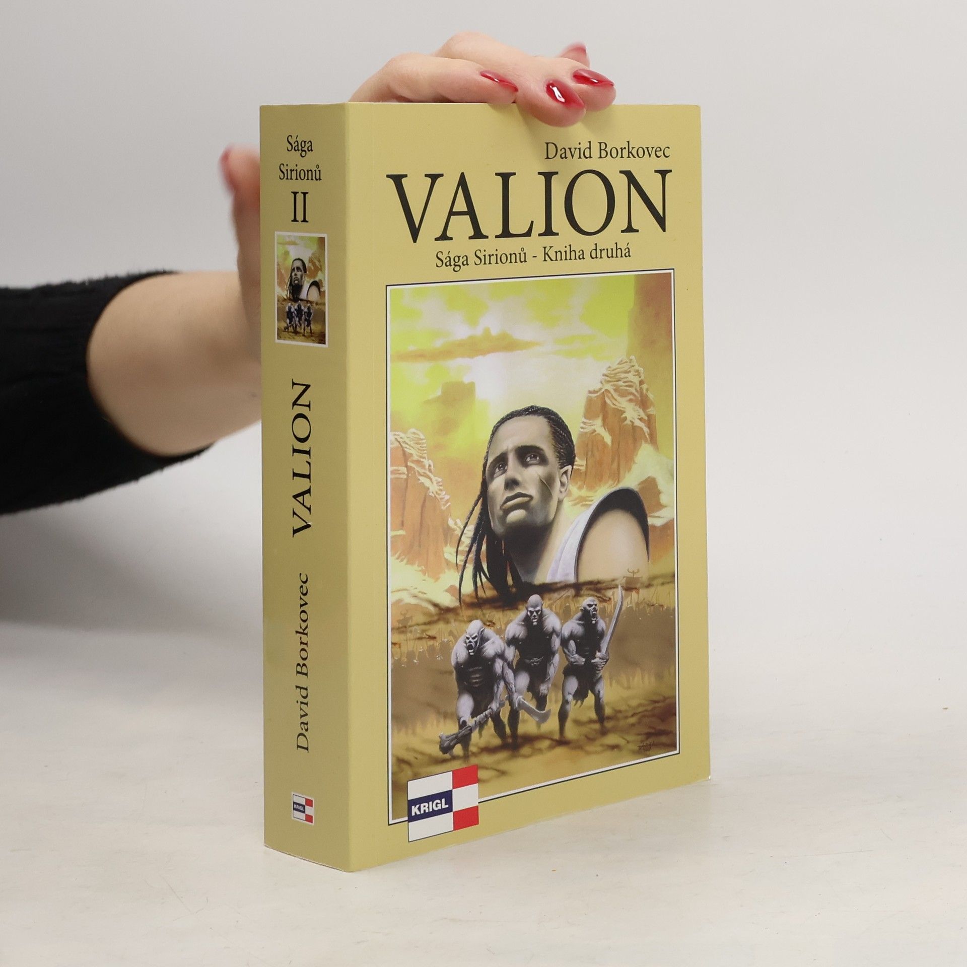 David Borkovec Valion