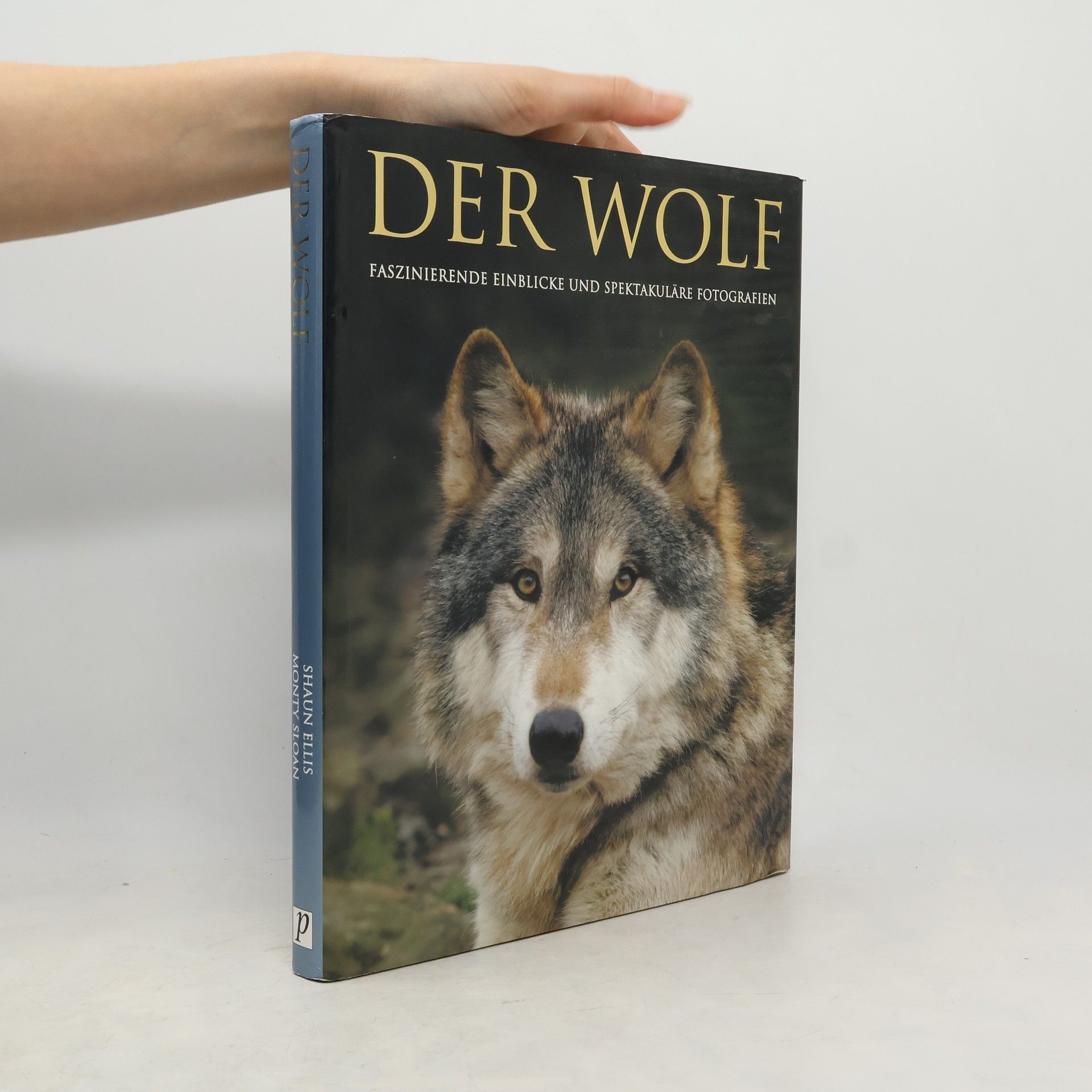 Der Wolf