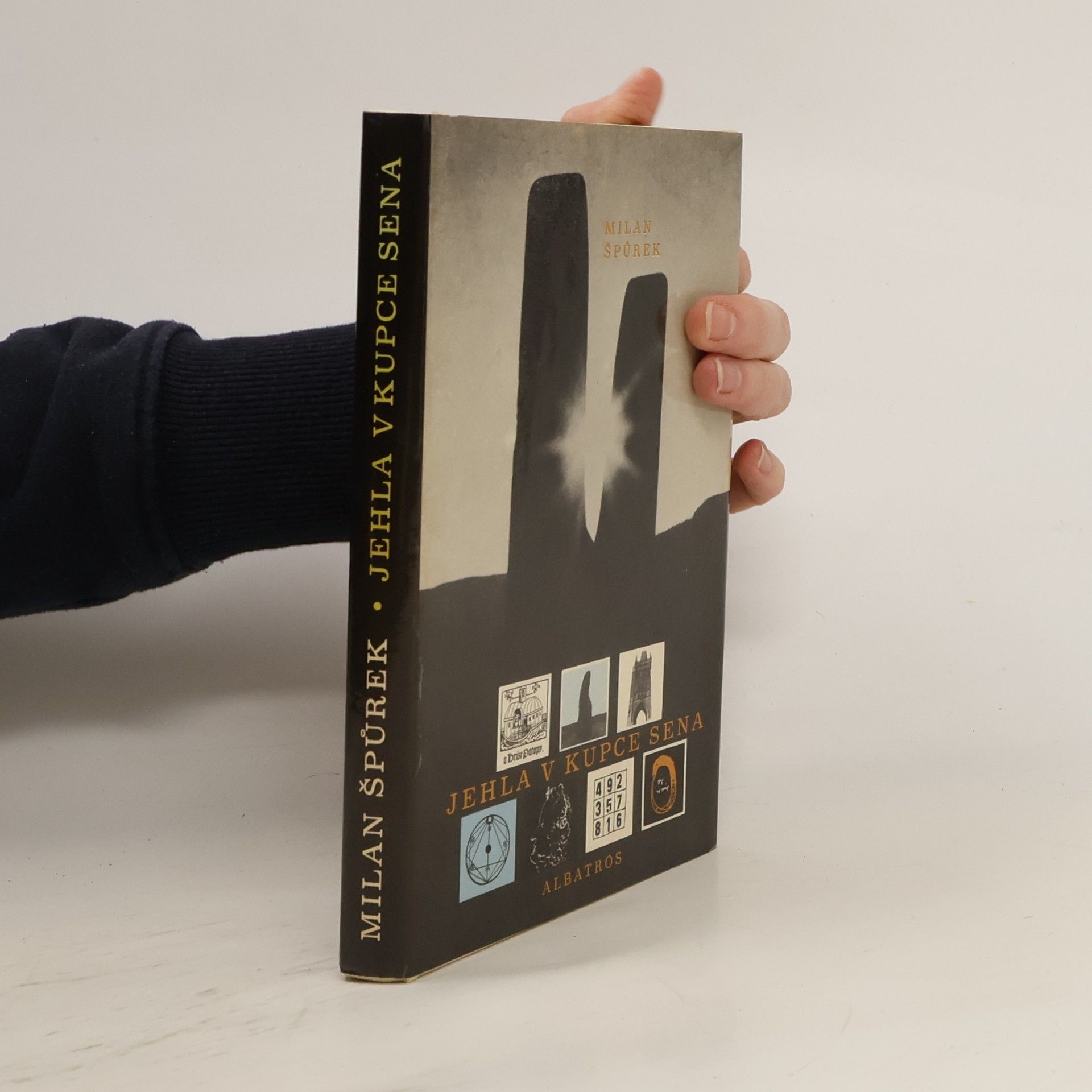 Jehla v kupce sena aneb Sedm záhad hledá luštitele