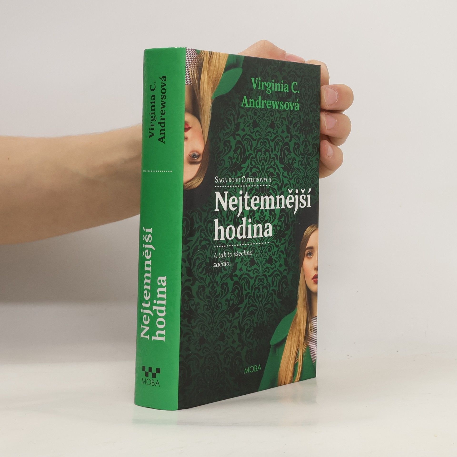 Virginia C. Andrewsová Nejtemnější hodina