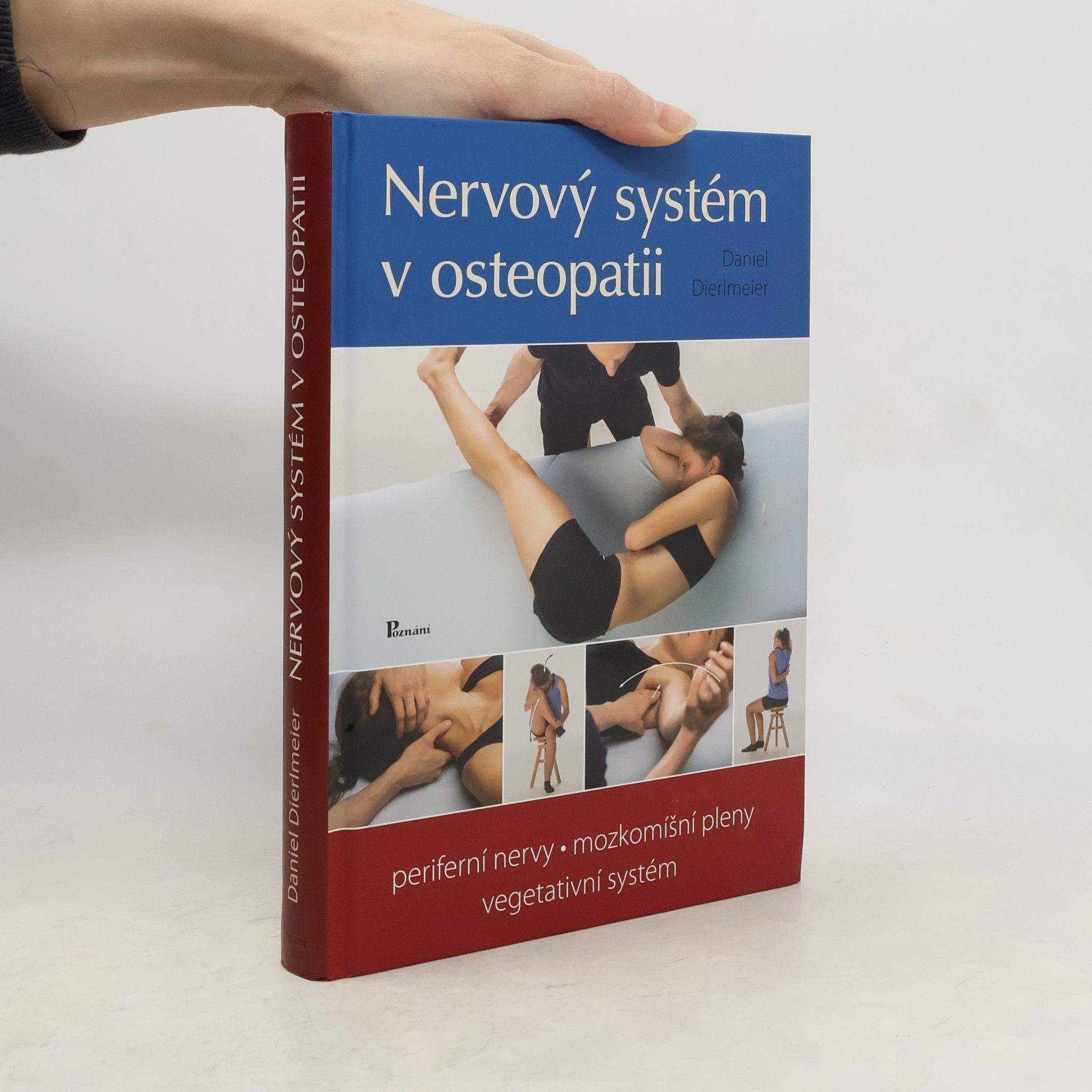 Nervový systém v osteopatii