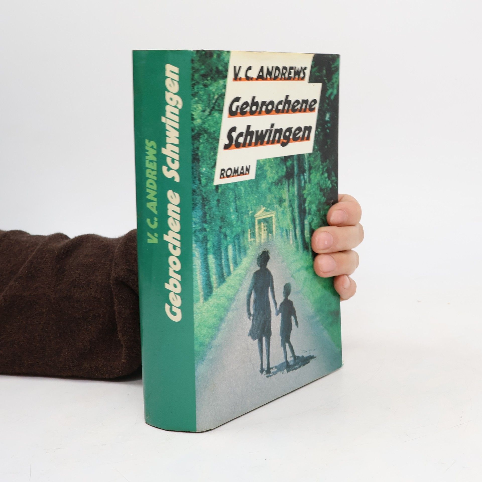 V. C. Andrews Gebrochene Schwingen