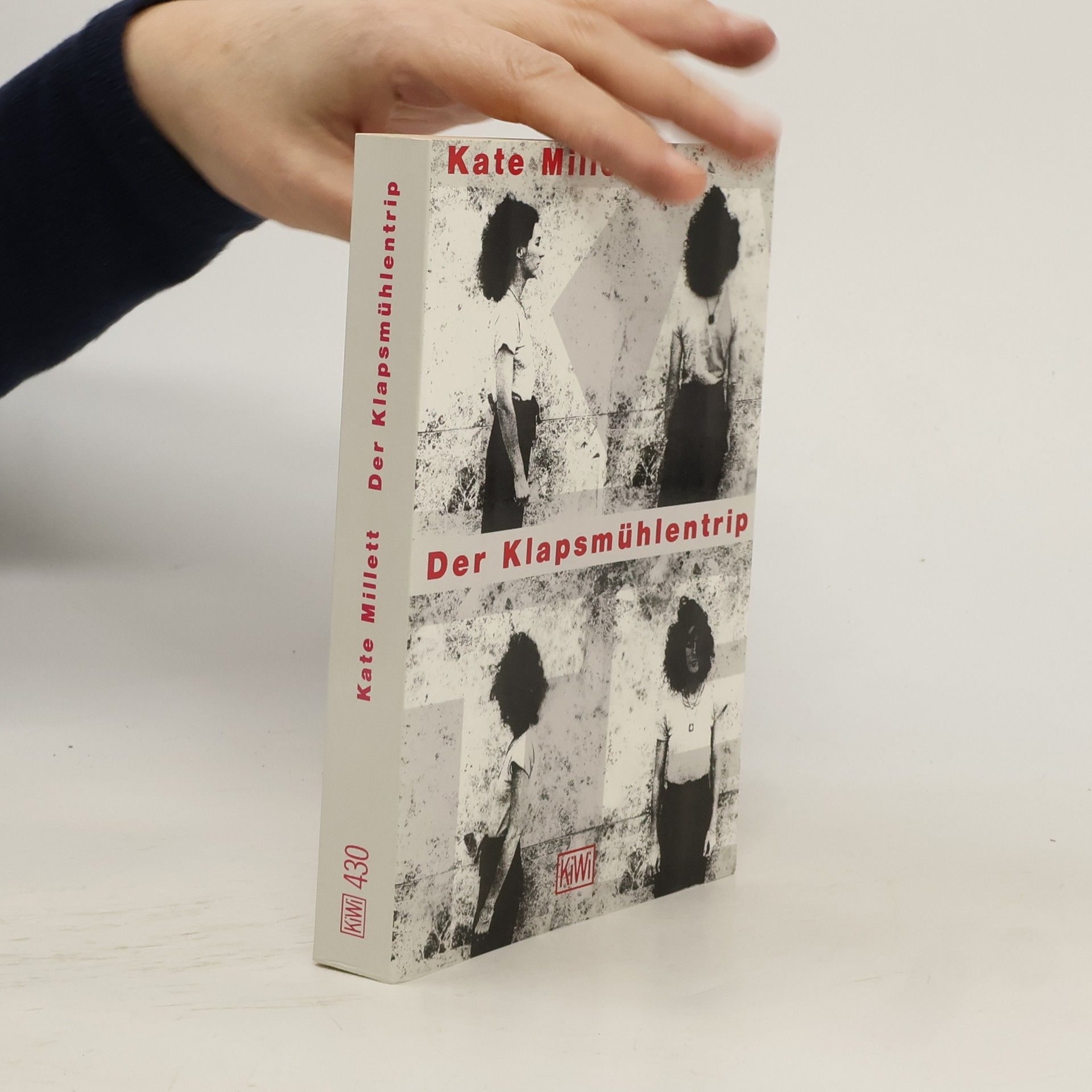 Kate Millett Der Klapsmühlentrip