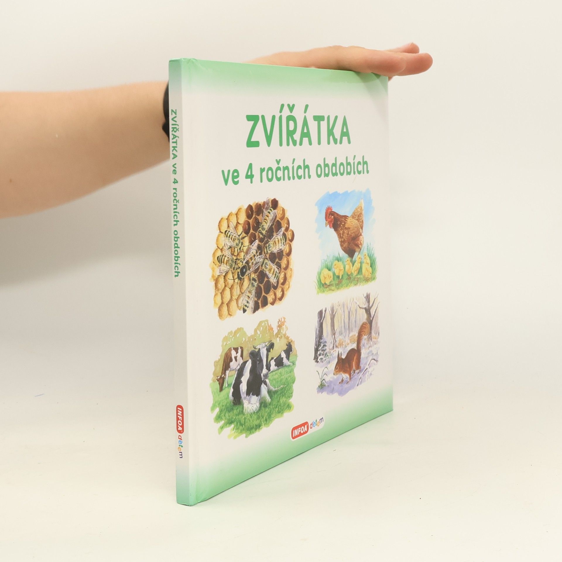 Zvířátka ve 4 ročních obdobích