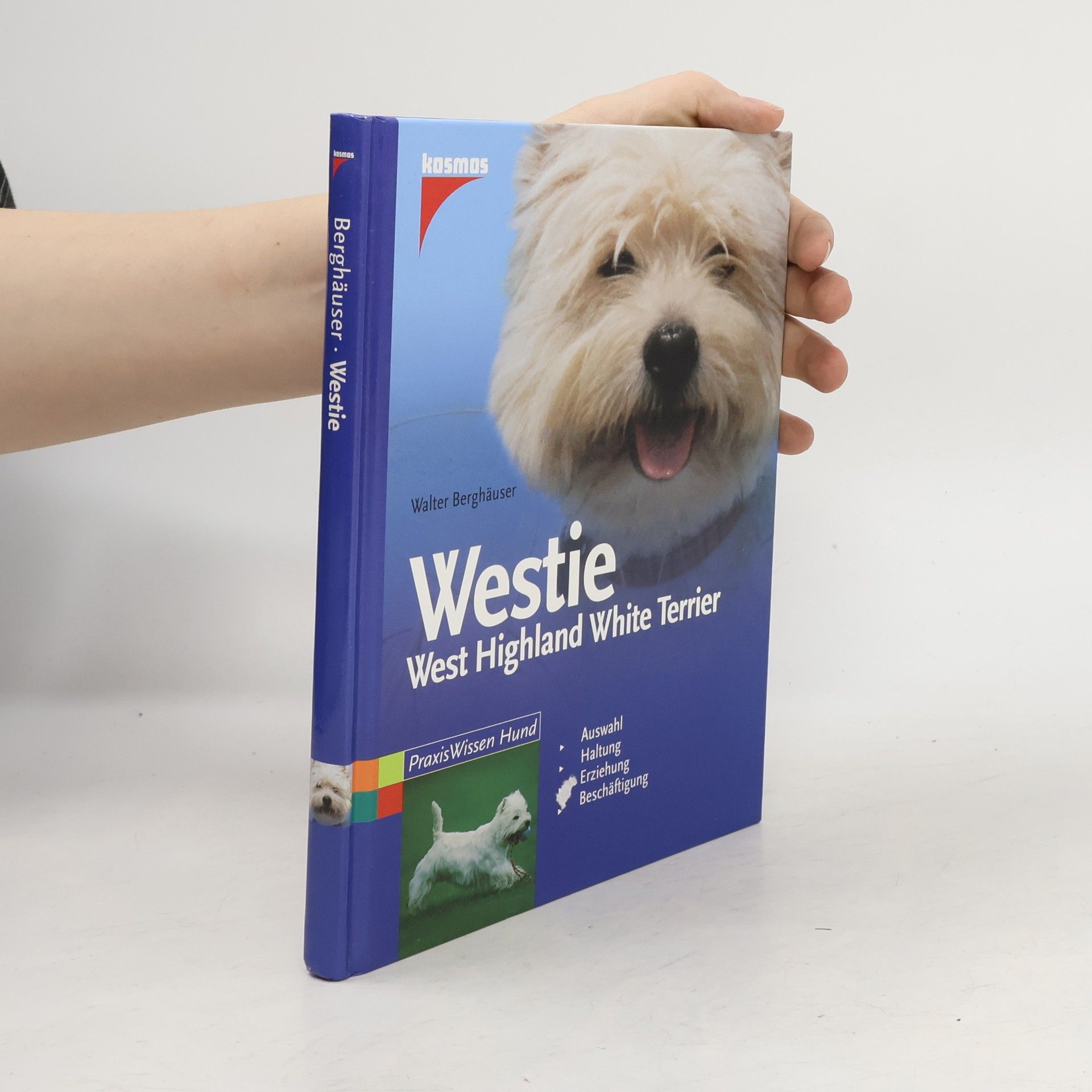 Westie