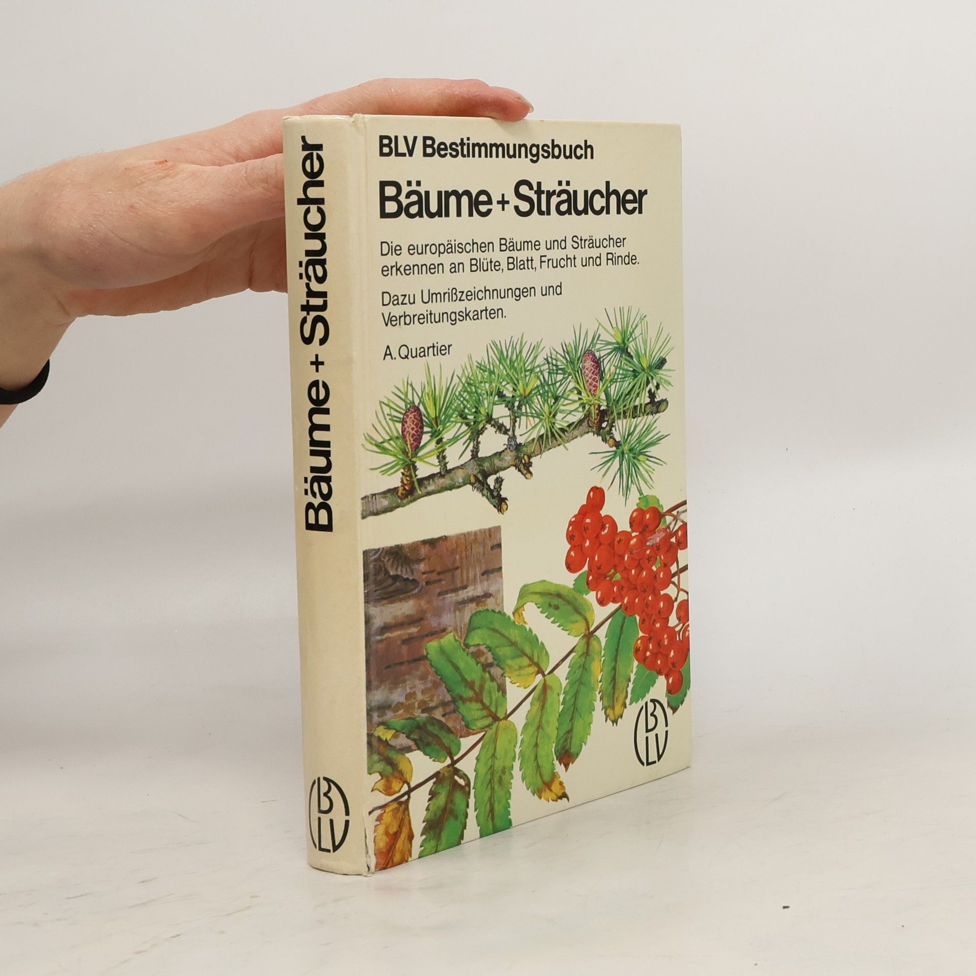 Archibald Quartier Bäume + [und] Sträucher