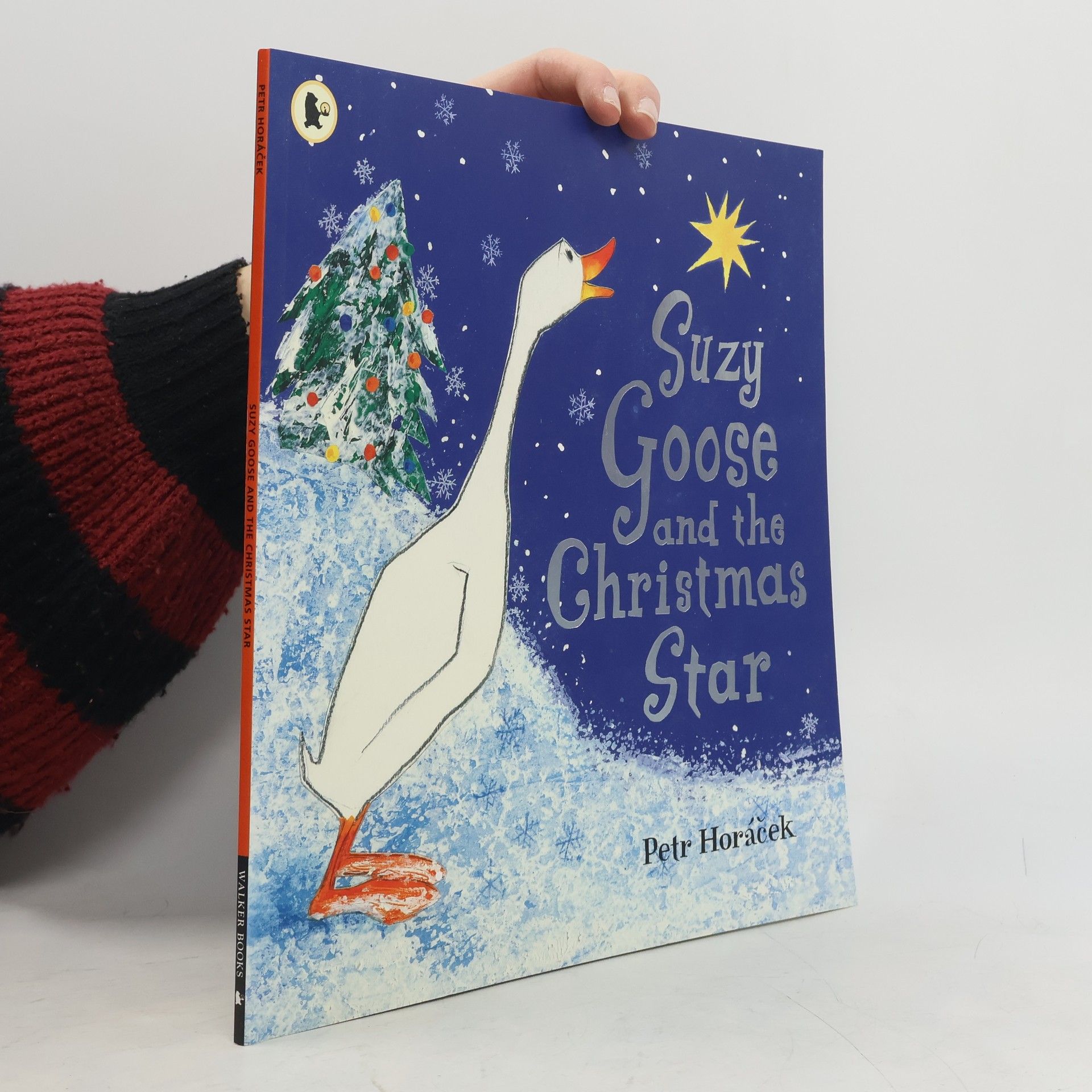 Suzy Goose and the Christmas star