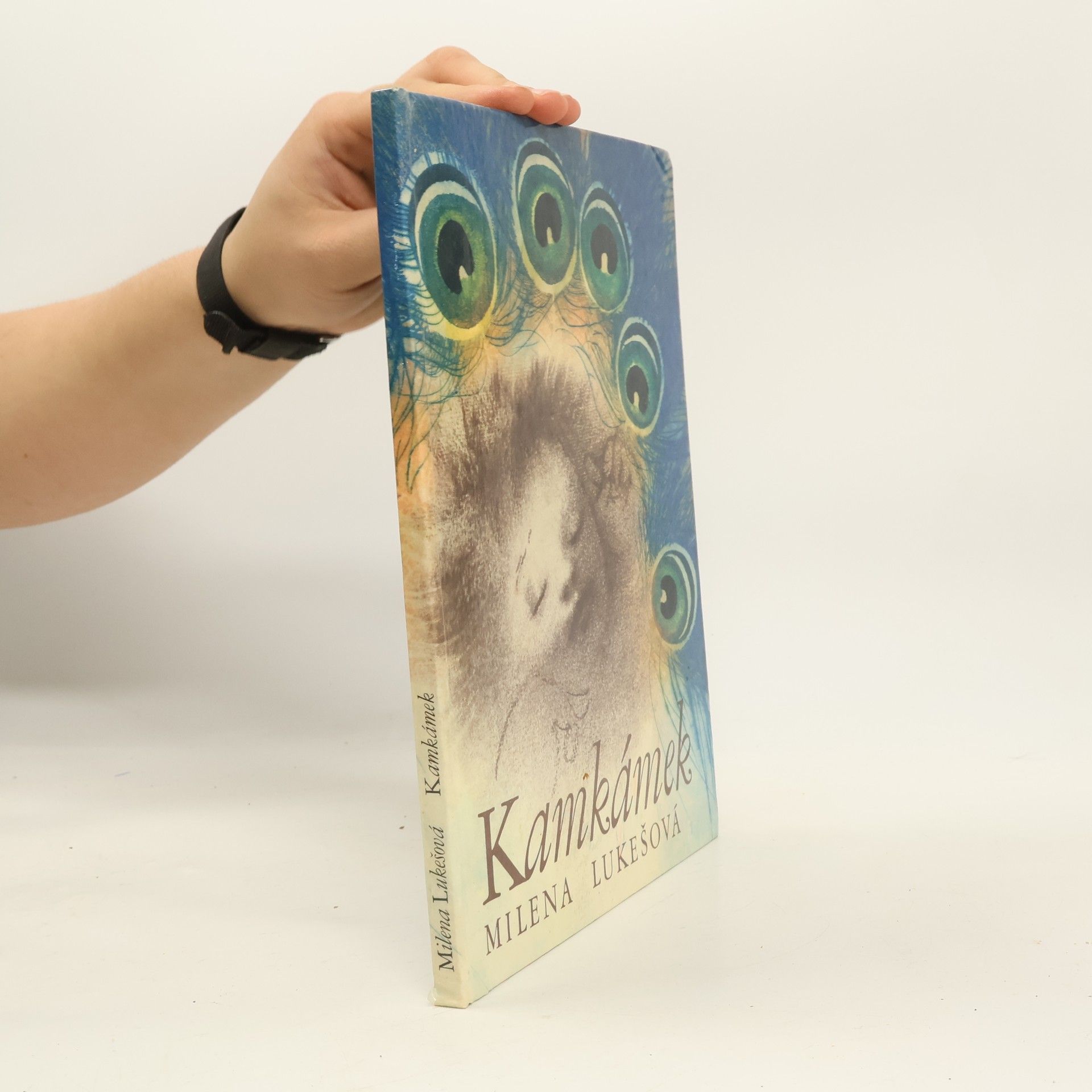 Jitka Walterová Kamkámek