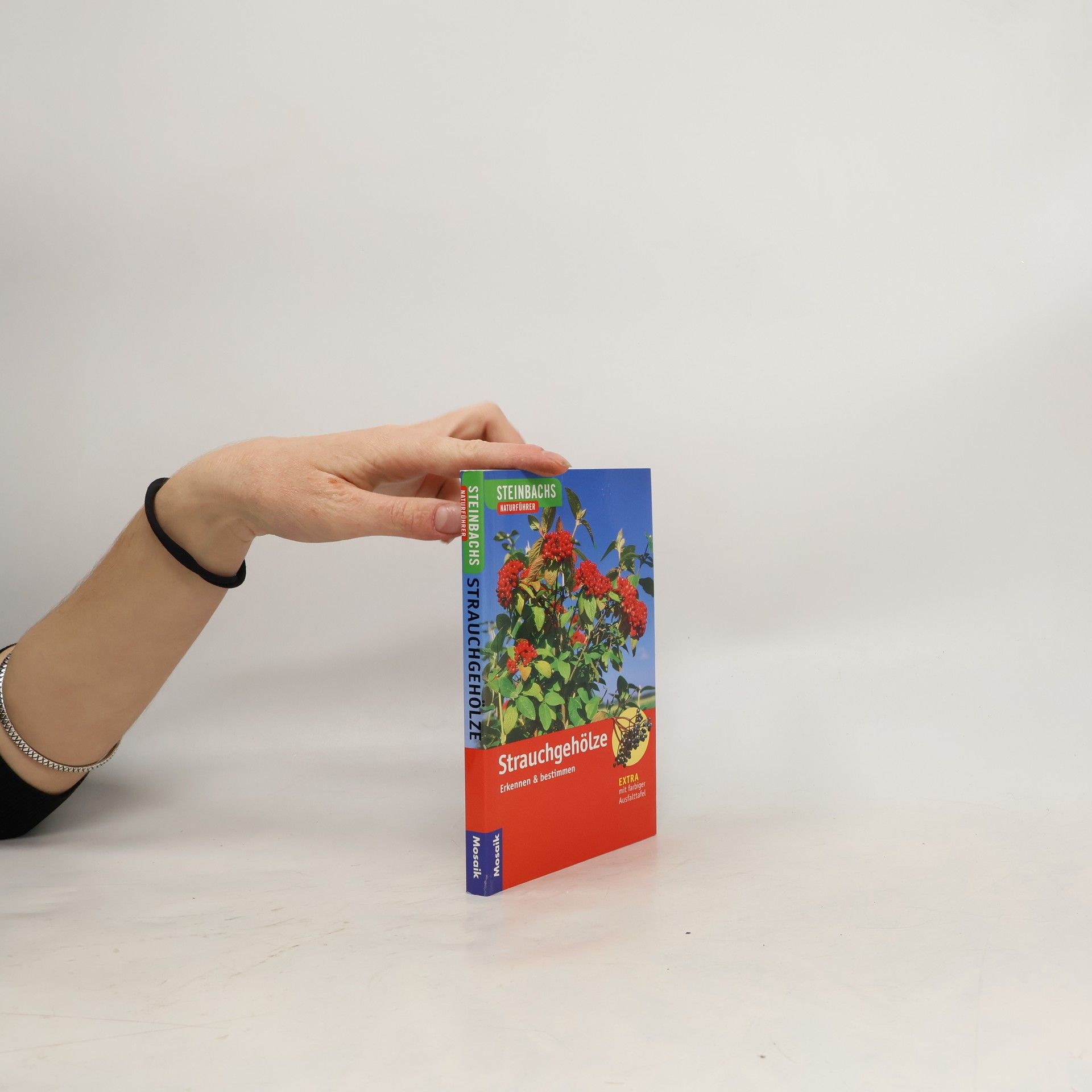 Bruno P. Kremer Strauchgehölze