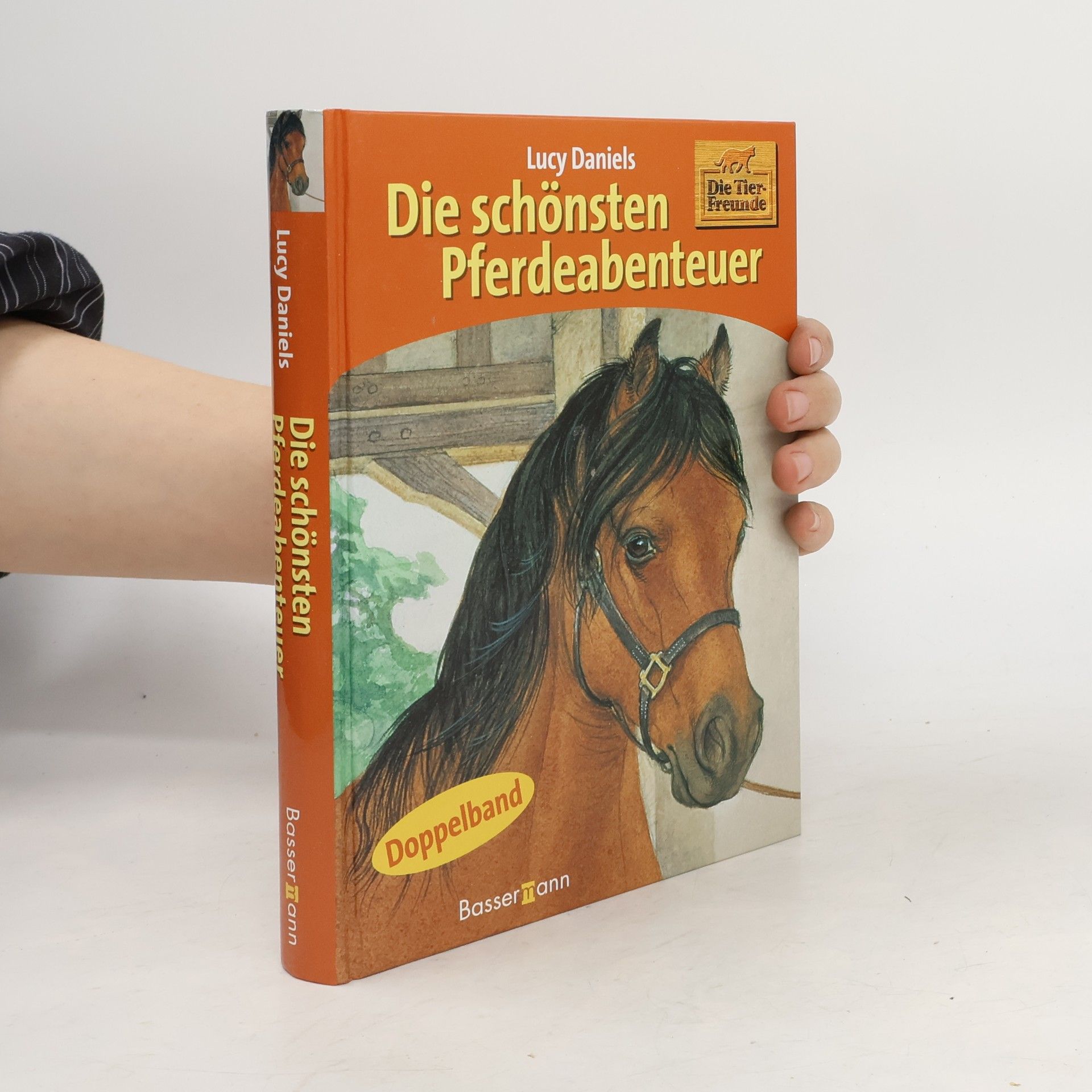 Die schönsten Pferdeabenteuer