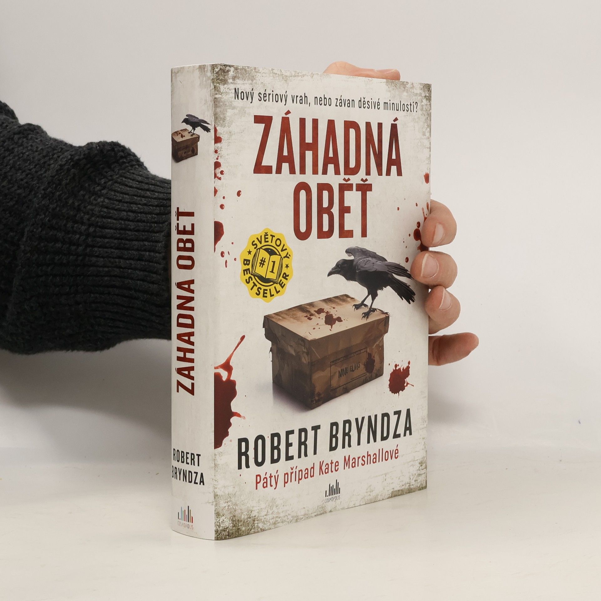 Robert Bryndza Záhadná oběť