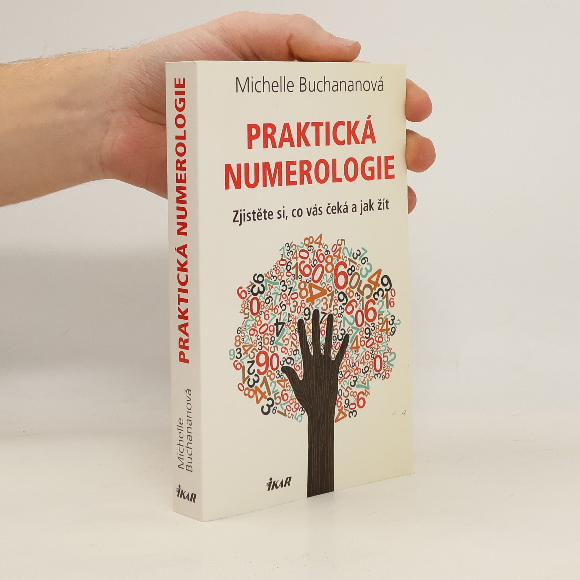 Michelle Buchanan Praktická numerologie