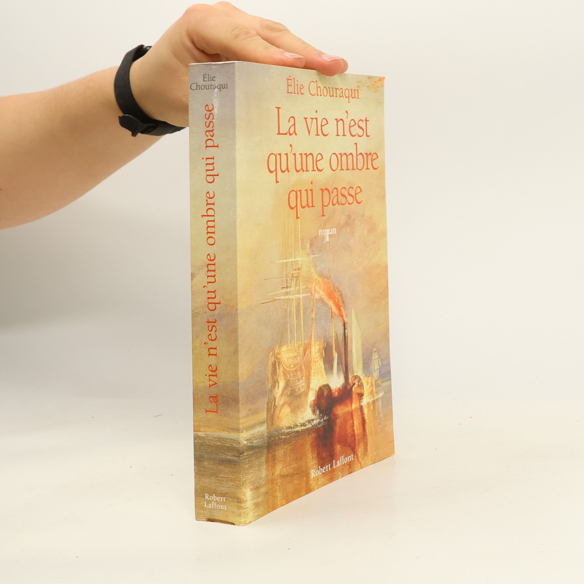 Élie Chouraqui La vie n'est qu'une ombre qui passe