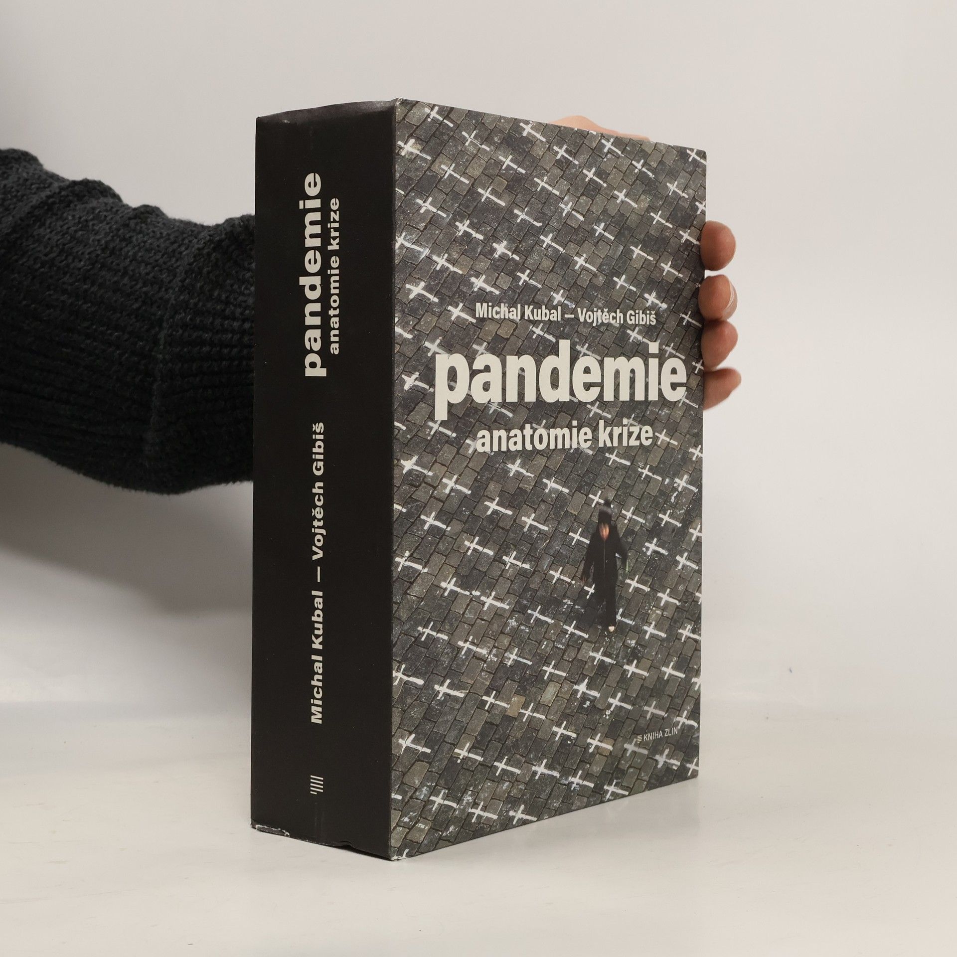 Michal Kubal Pandemie : anatomie krize