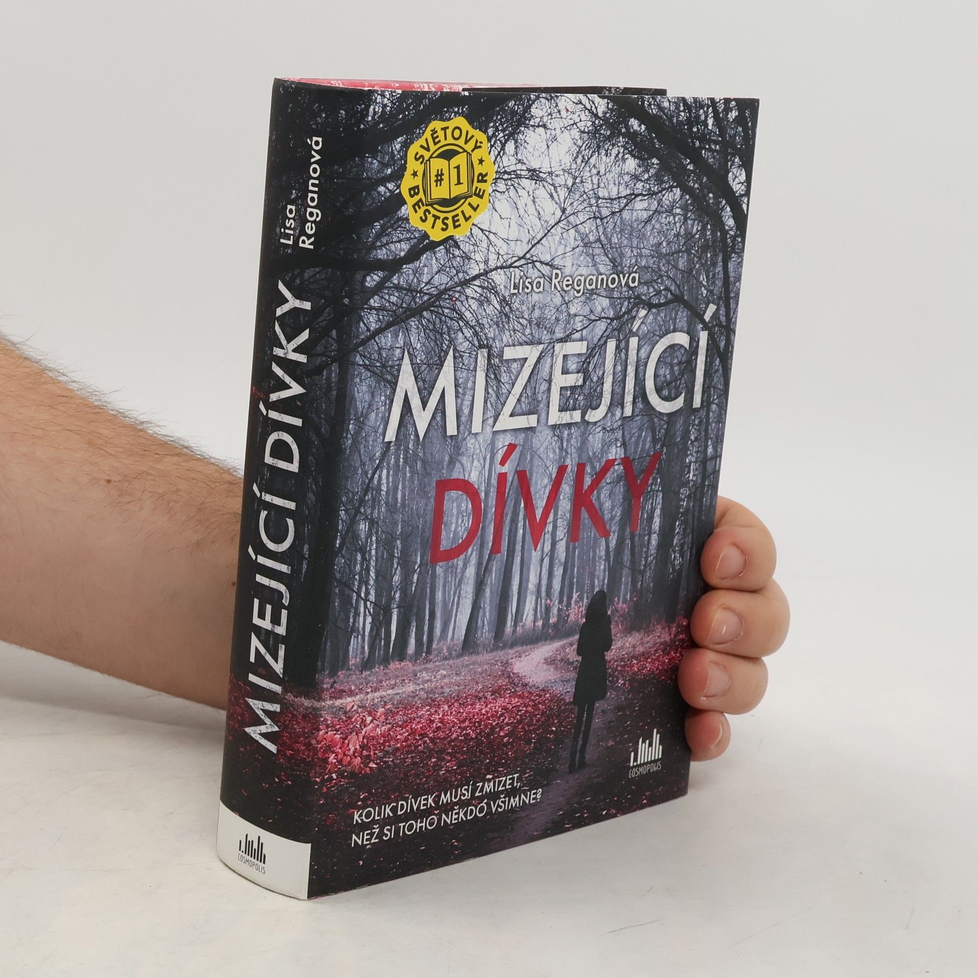 Lisa Regan Mizející dívky