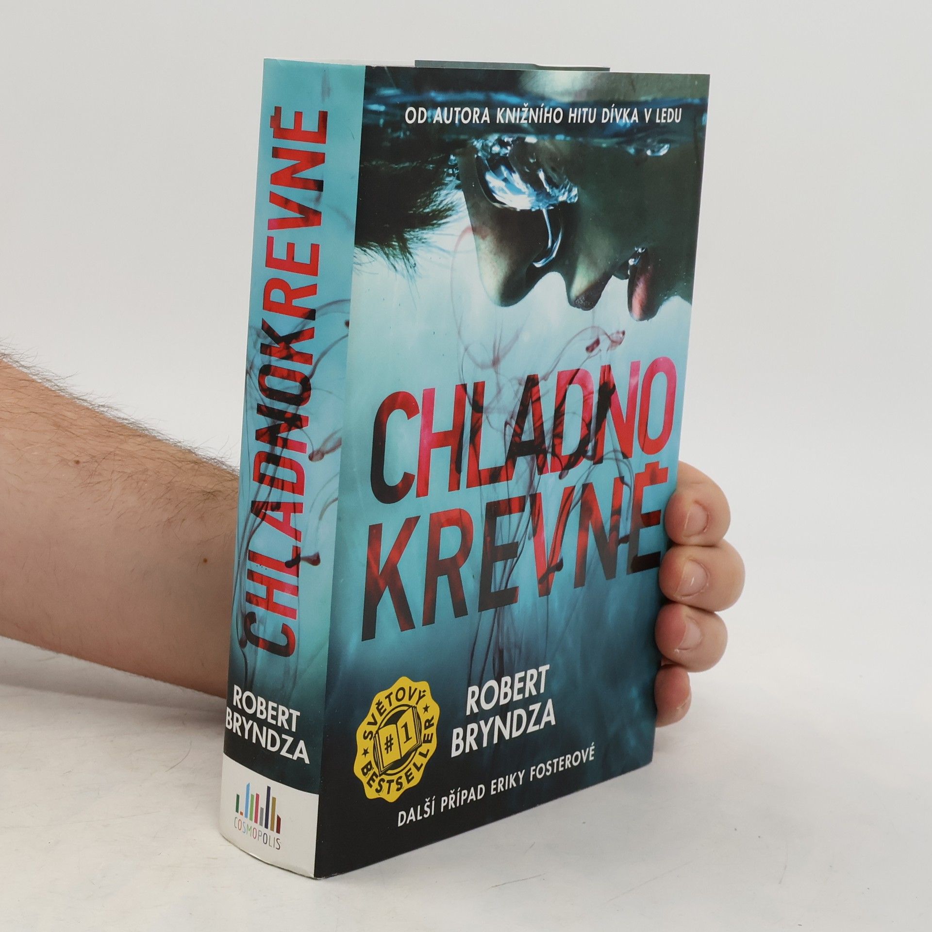 Robert Bryndza Chladnokrevně