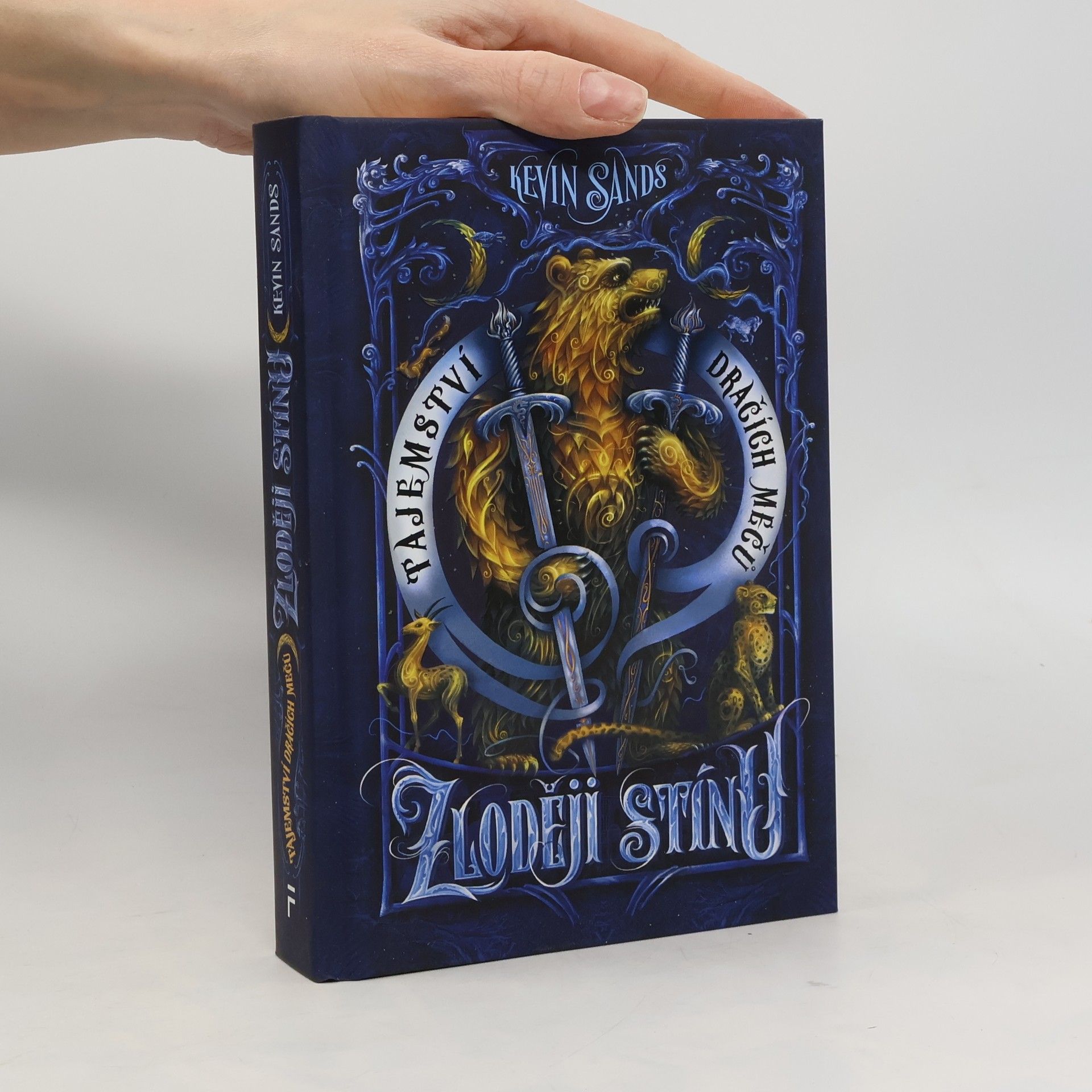 Tajemství dračích mečů. Zloději stínu