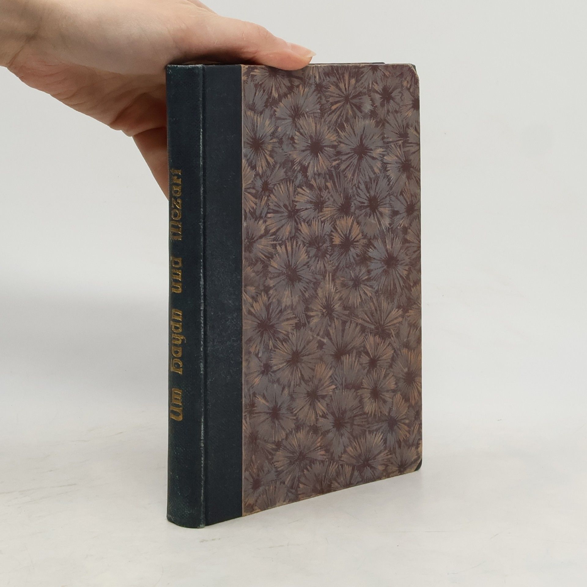 E. T. A. Hoffmann Um Haydn und Mozart