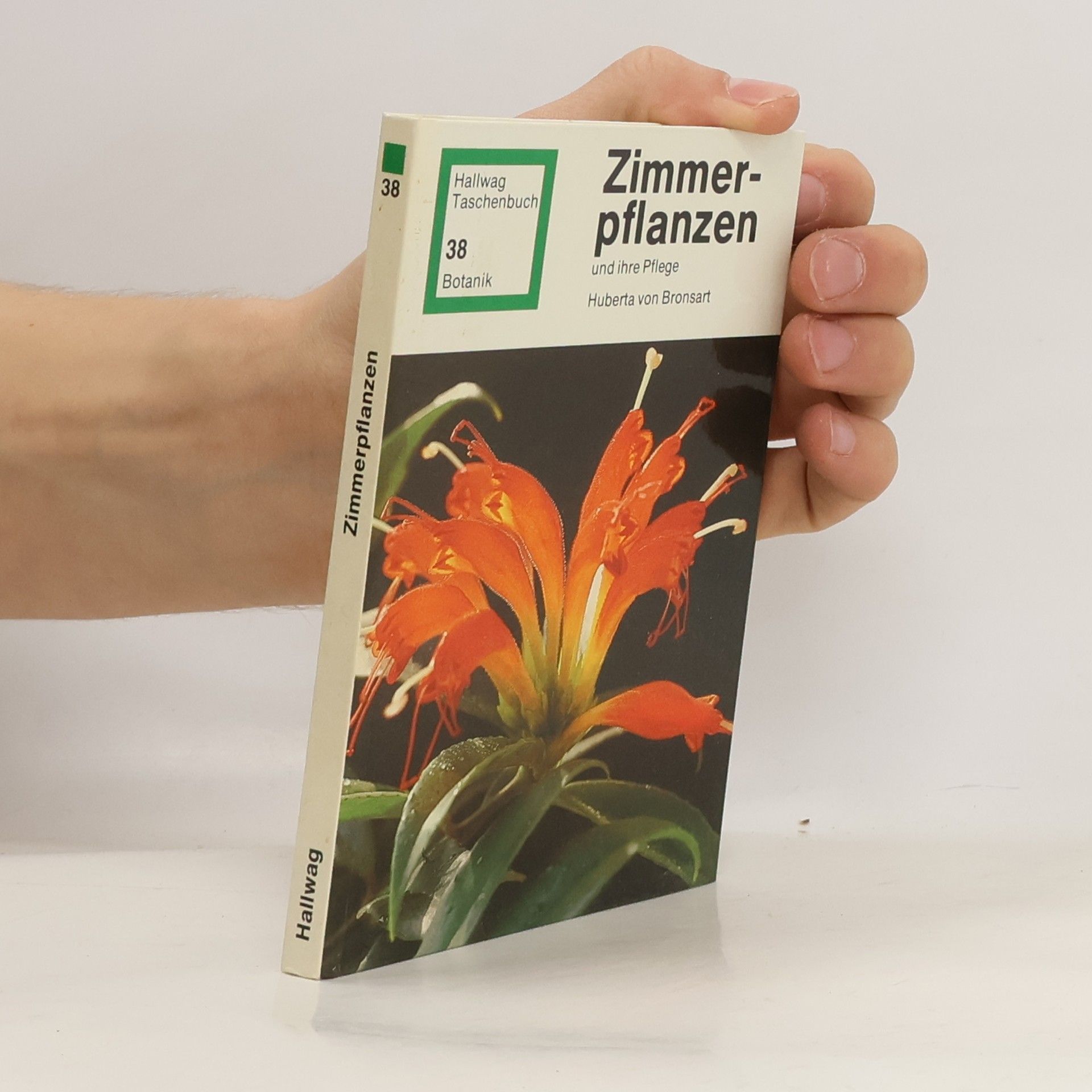 Zimmerpflanzen und ihre Pflege