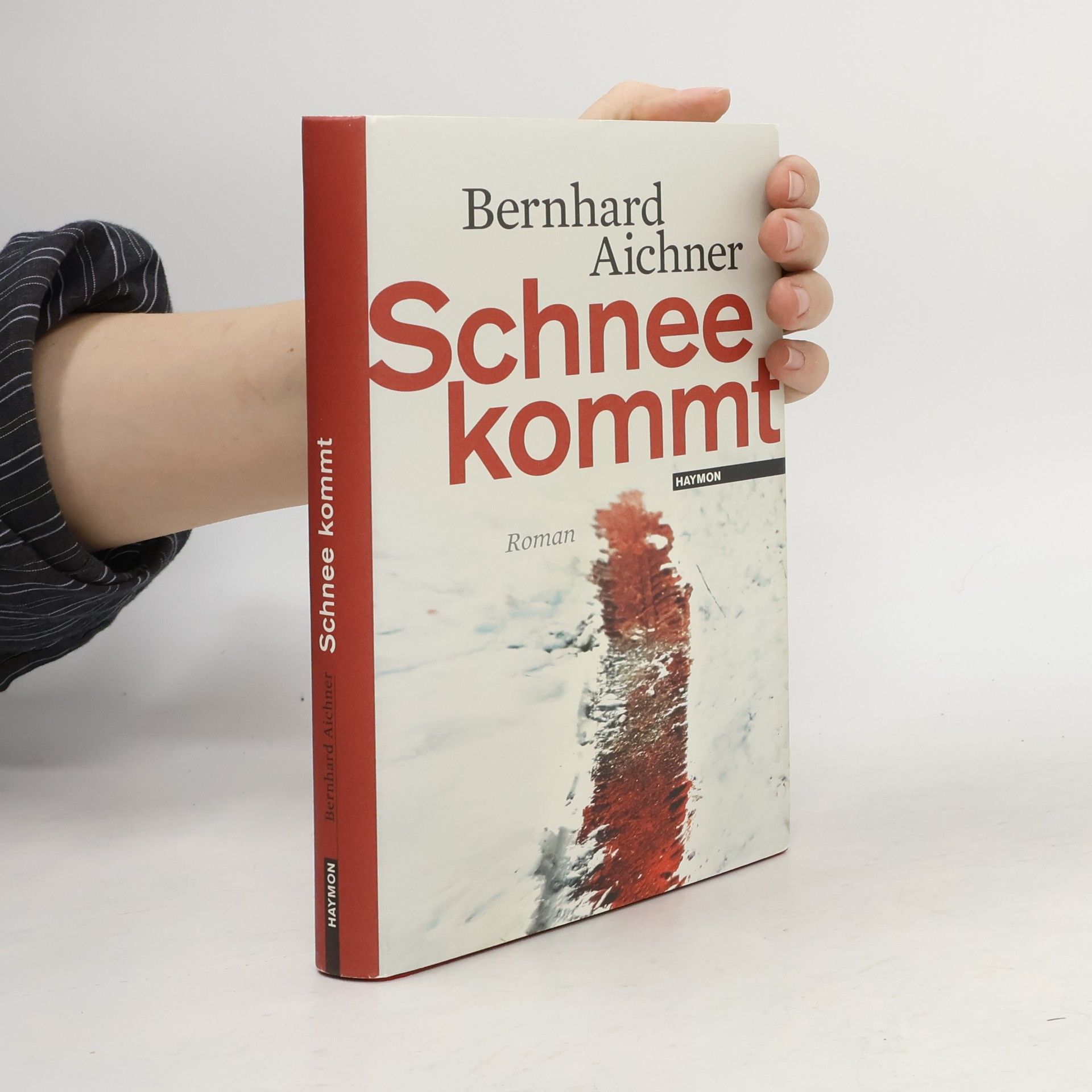 Bernhard Aichner Schnee kommt