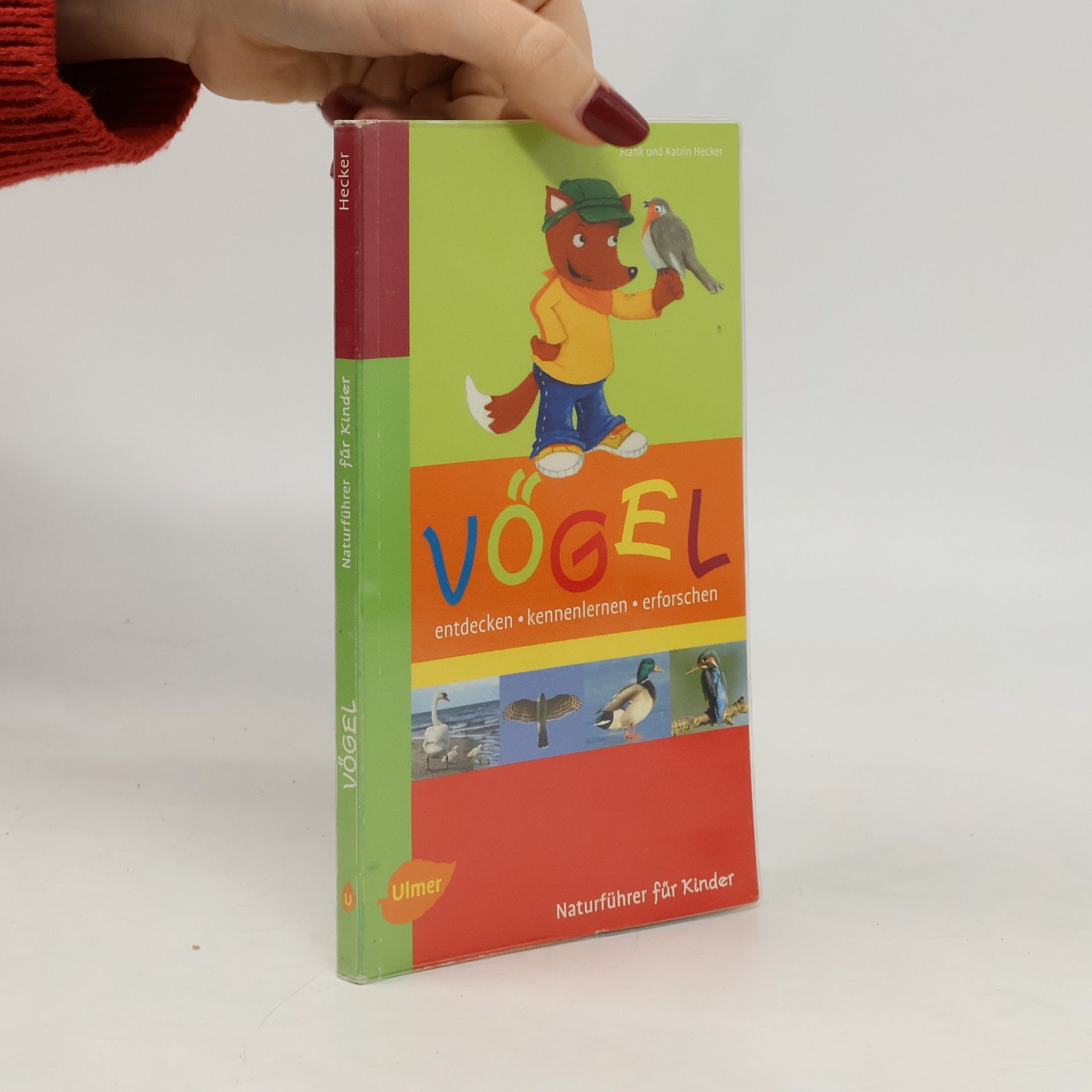 Katrin Hecker Vögel