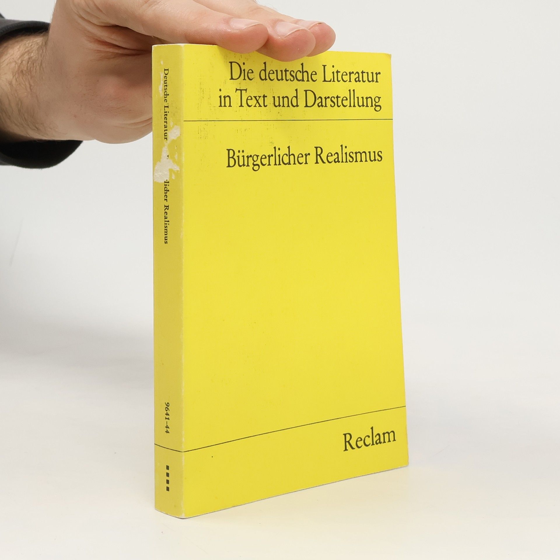 Bürgerlicher Realismus. Die deutsche Literatur Band 111