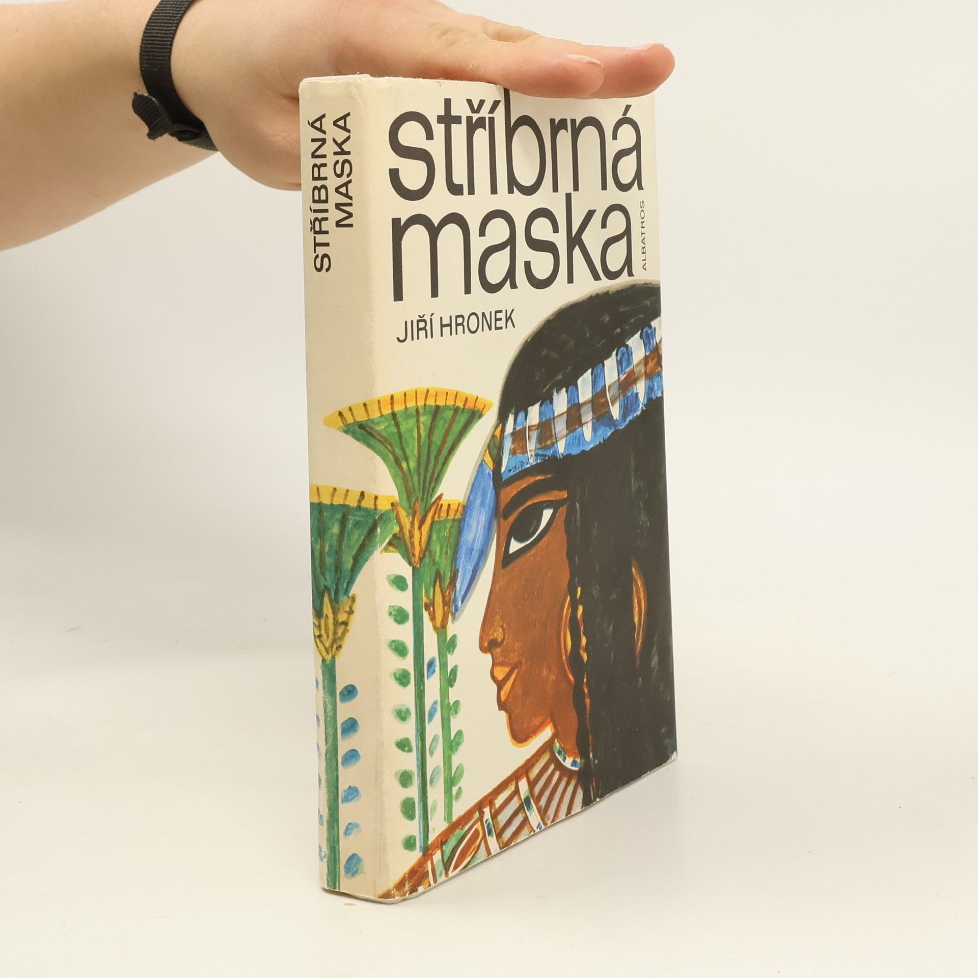 Jiří Hronek Stříbrná maska