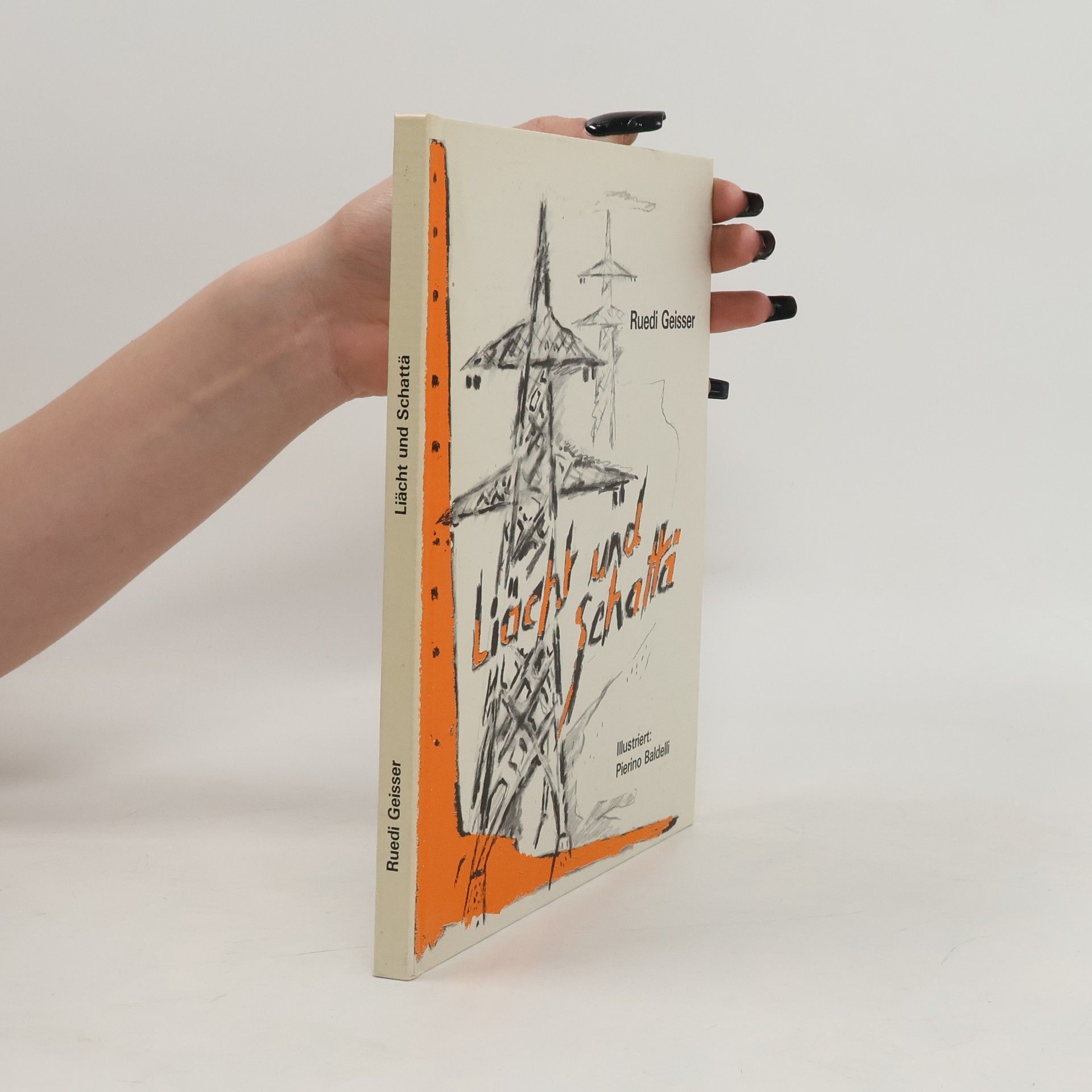 Ruedi Geisser Liächt und Schattä