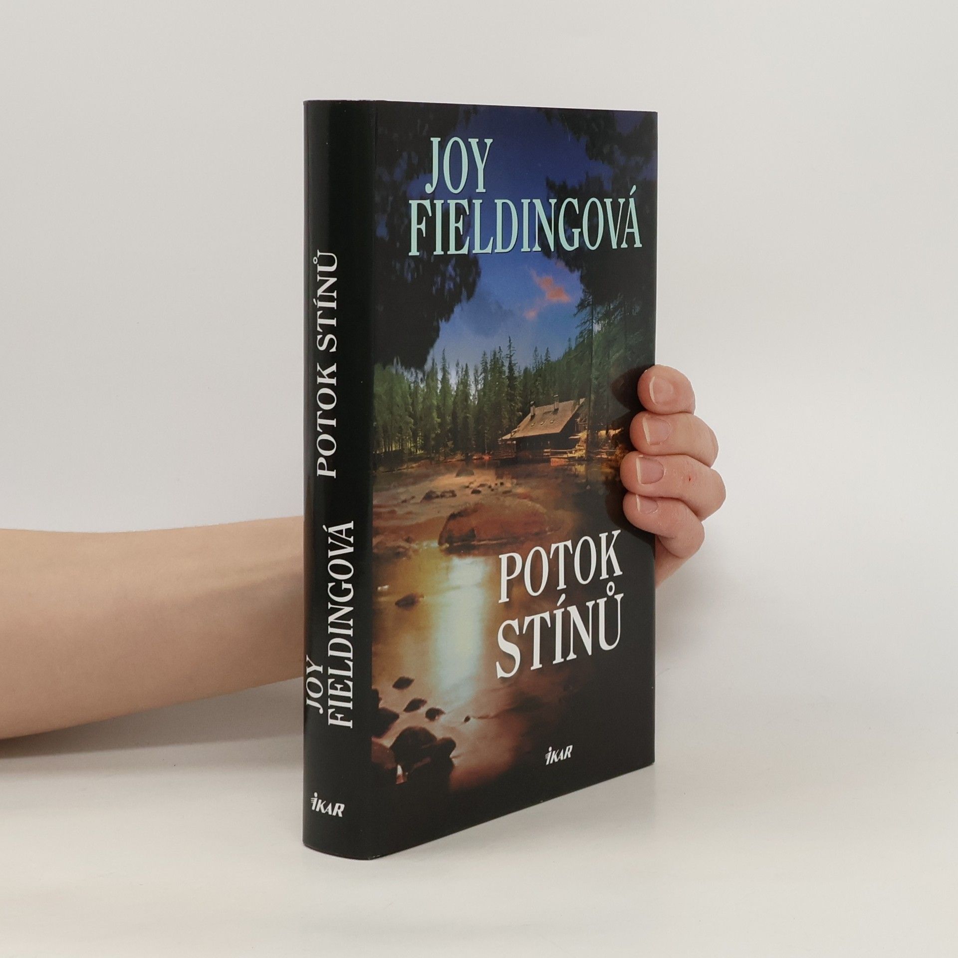 Joy Fielding Potok stínů