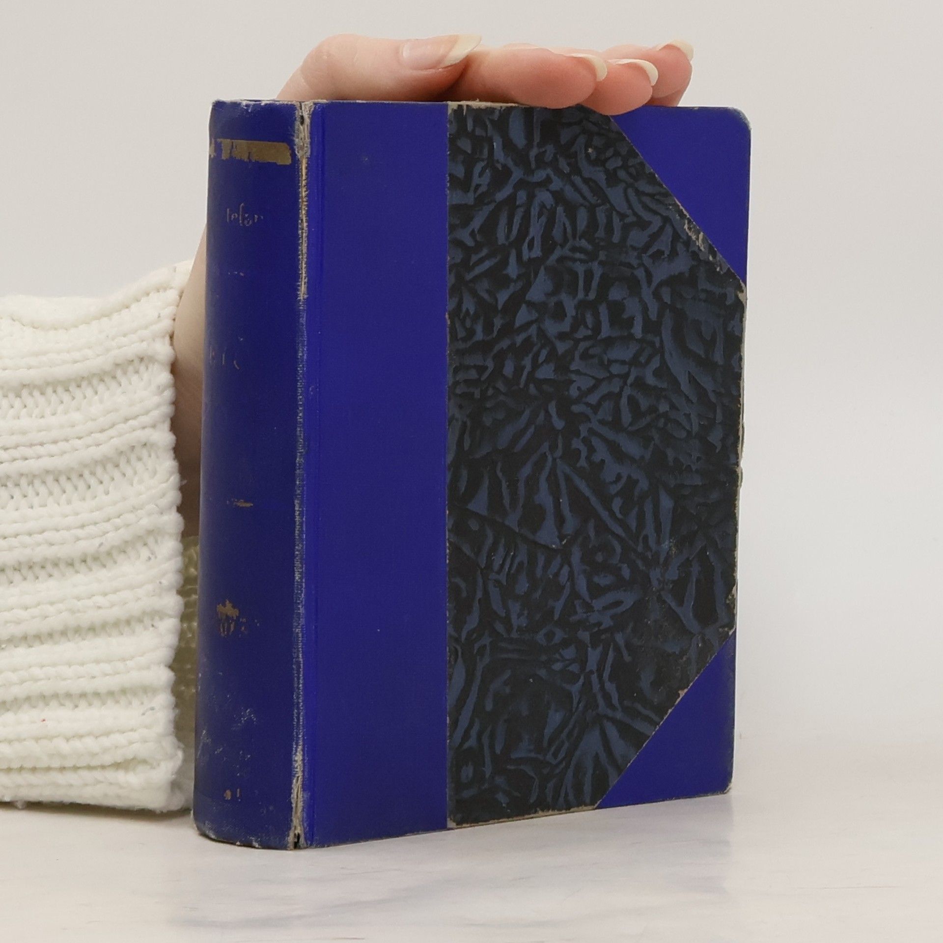 Alessandro de Stefani Bič boží